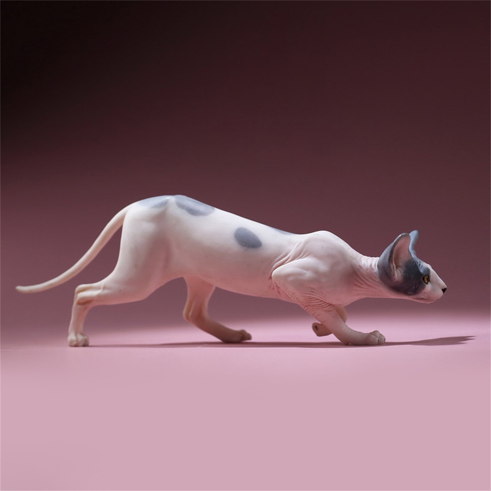 1/6 Canadian Hairless Figure