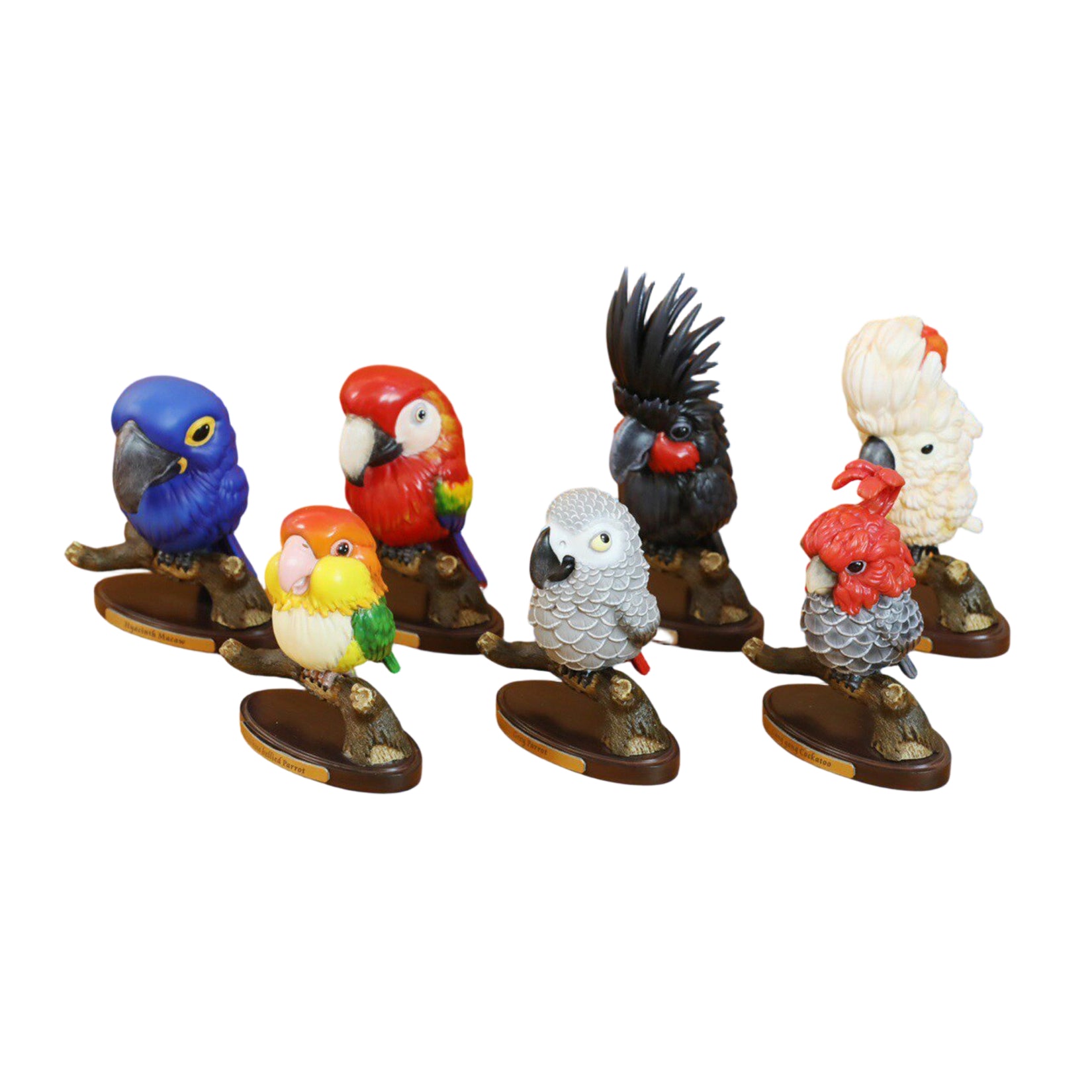 BOWUZHI Studio Parrot 1.0 Blind Box Model
