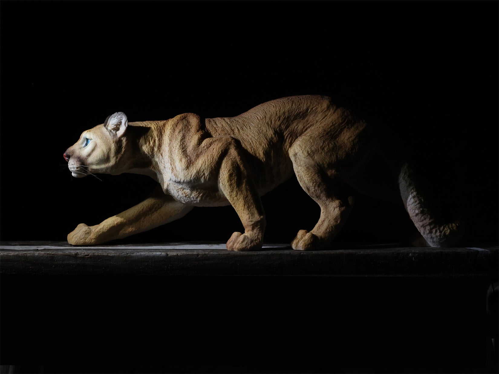 BOWUZHI Studio 1:6 Scale Cougar Model