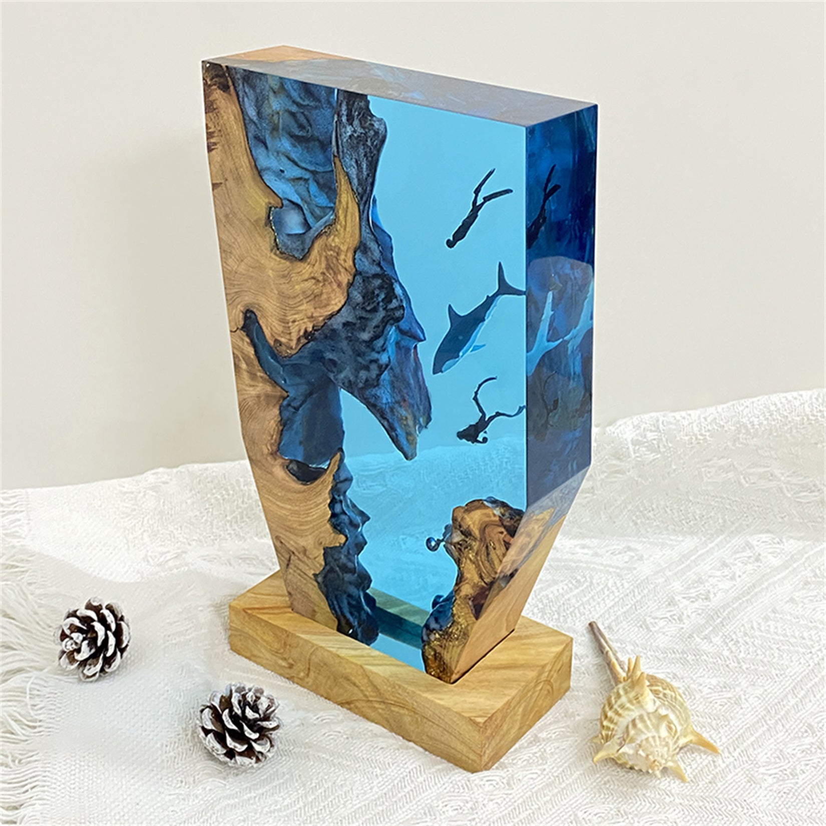 The Shark & Divers Ocean Model