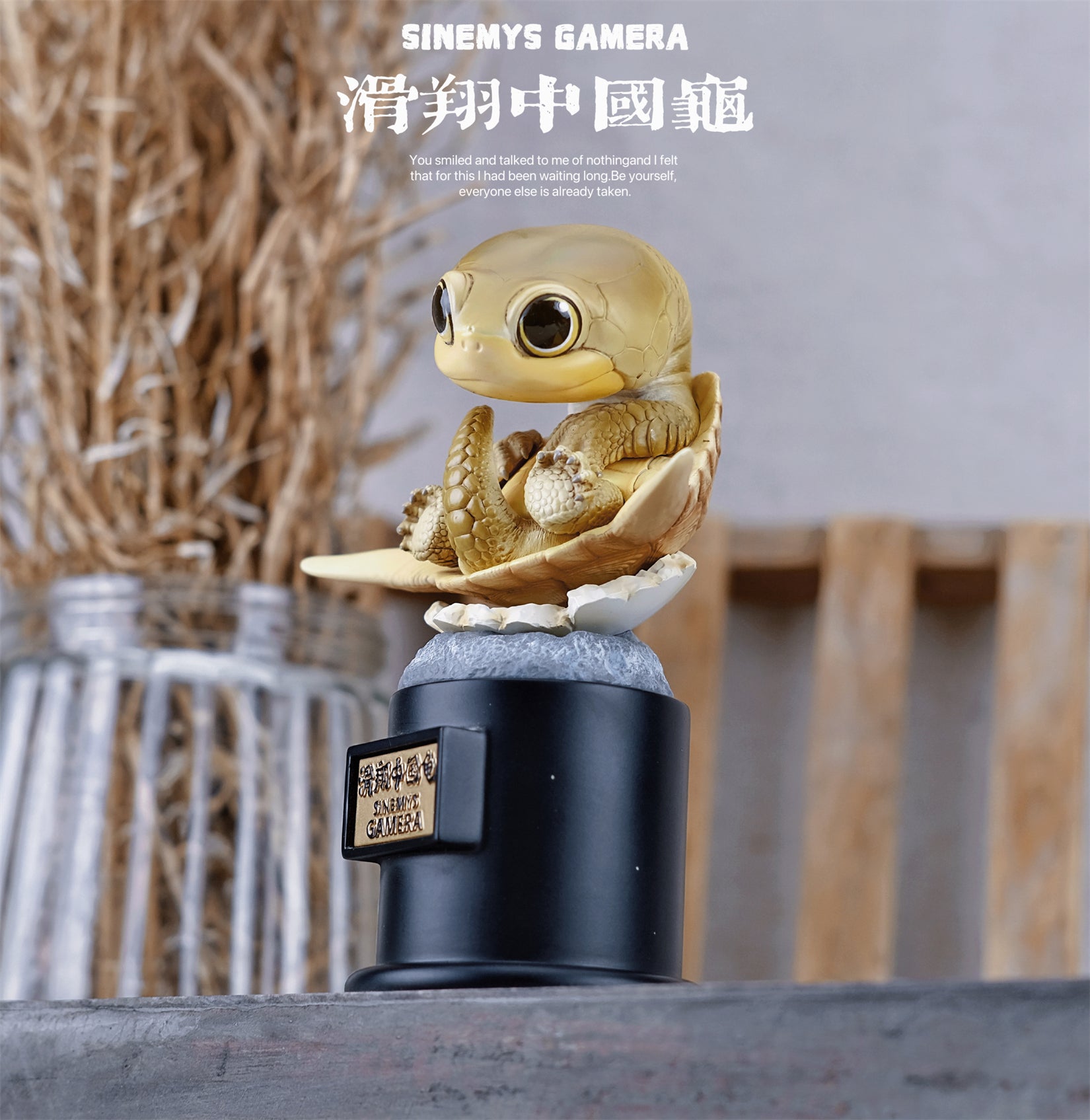 BOWUZHI Studio Sinemys gamera Meiolania Model