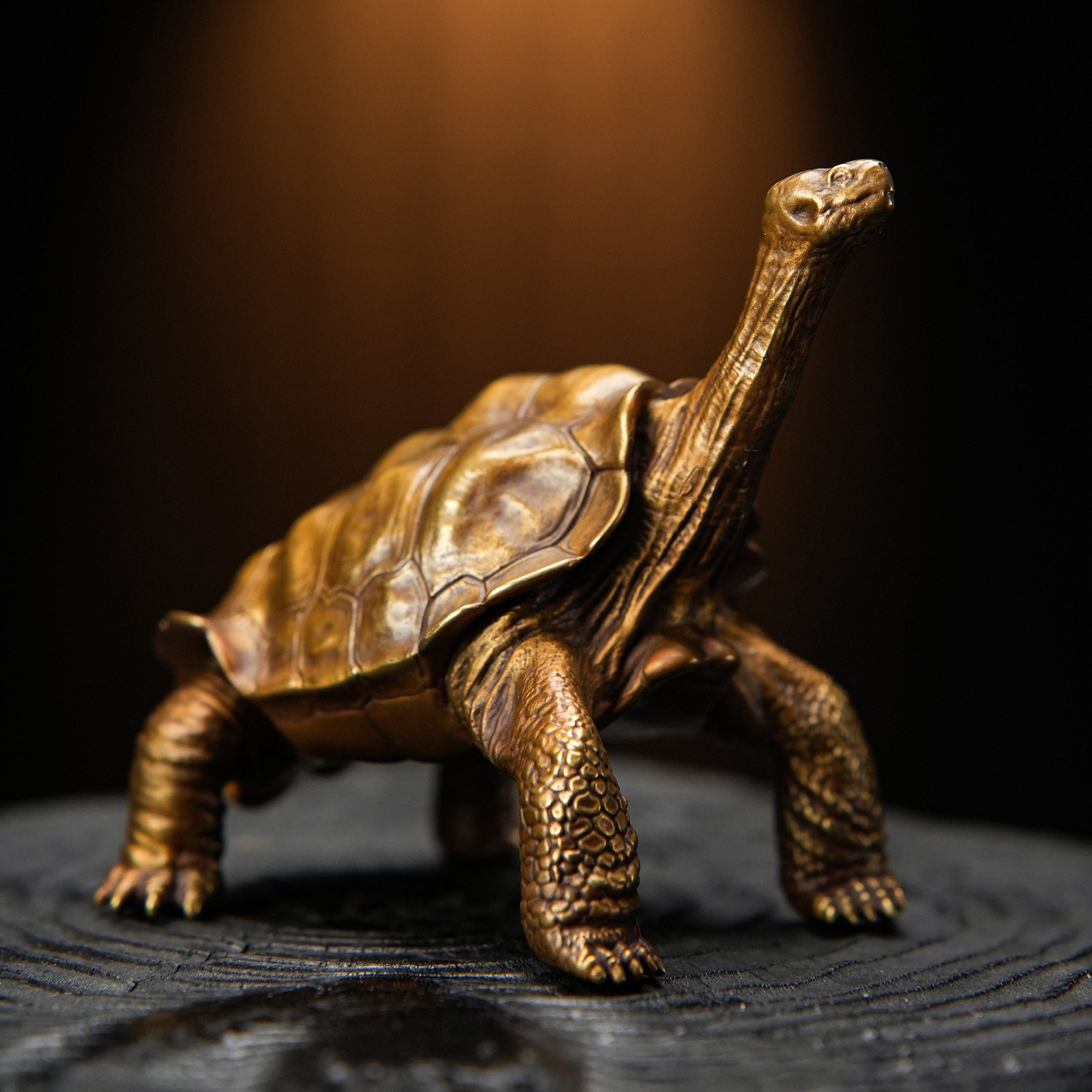 BOWUZHI Studio Galapagos Giant Tortoise Figure
