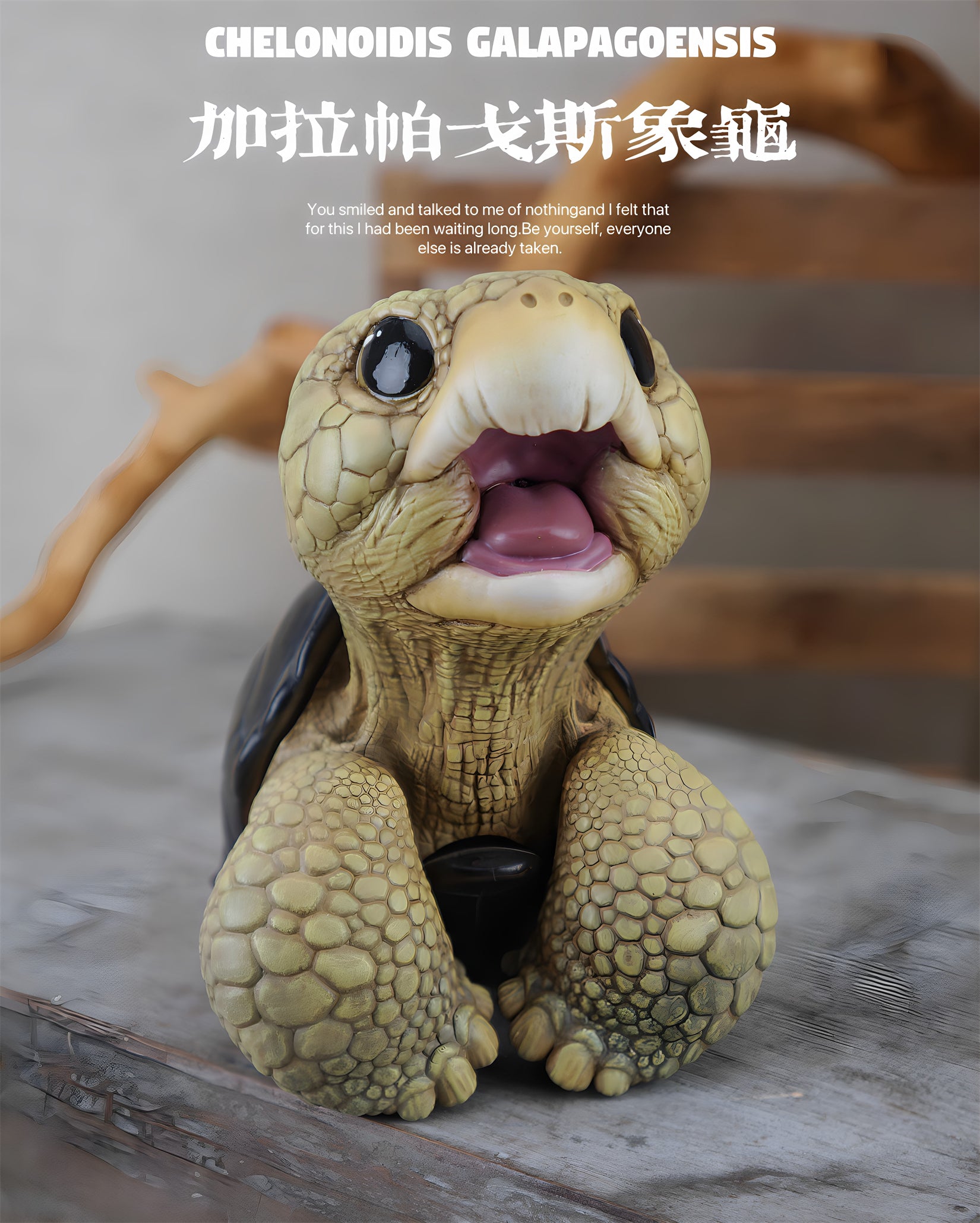 BOWUZHI Studio Geochelone Carbonaria & Chelonoidis Galapagoensis Model