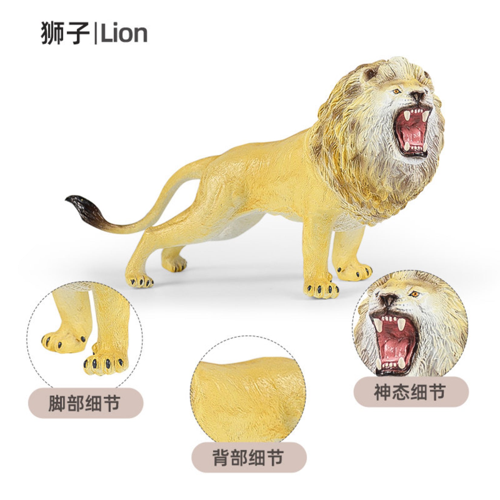 RECUR Lion Lioness Wild Animal Model