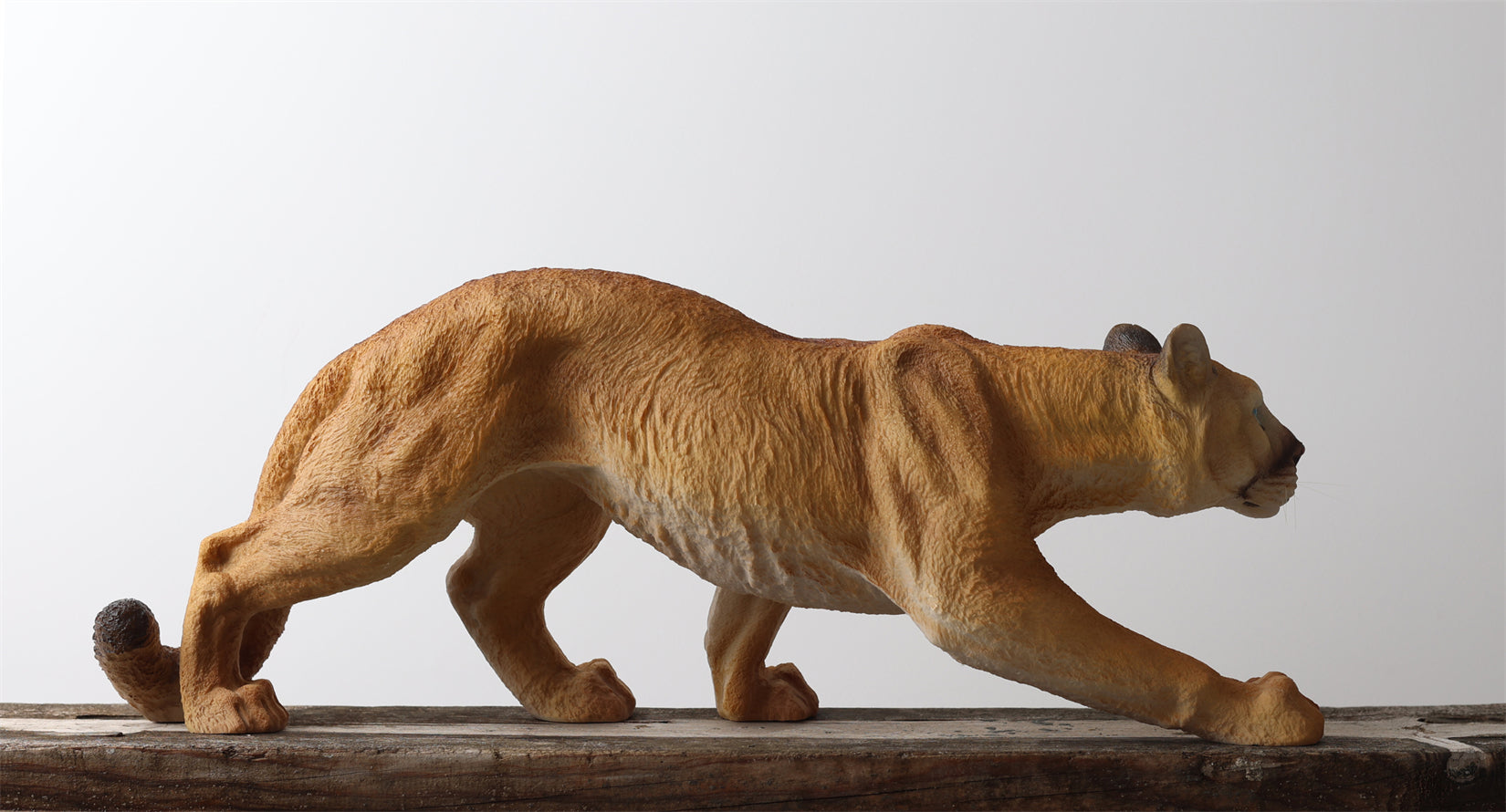 BOWUZHI Studio 1:6 Scale Cougar Model