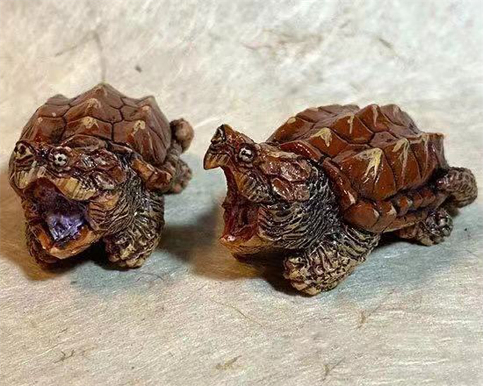 Schildkröten-Serie Tiermodell