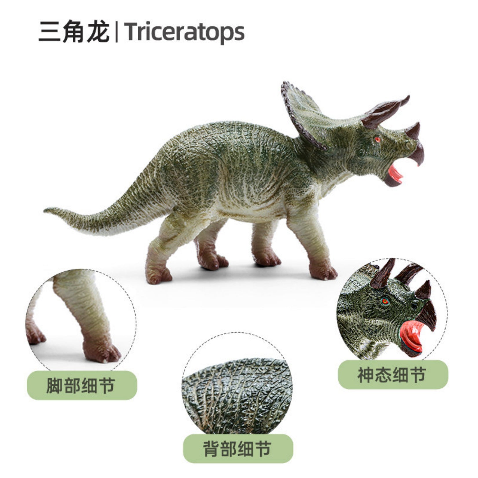 RECUR Triceratops Dinosaur Model Decor