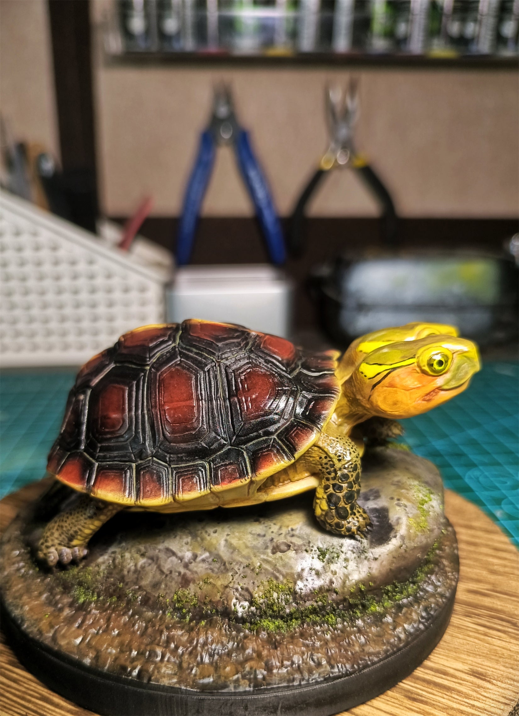 Two-headed Yellow-margined Box Turtle Model