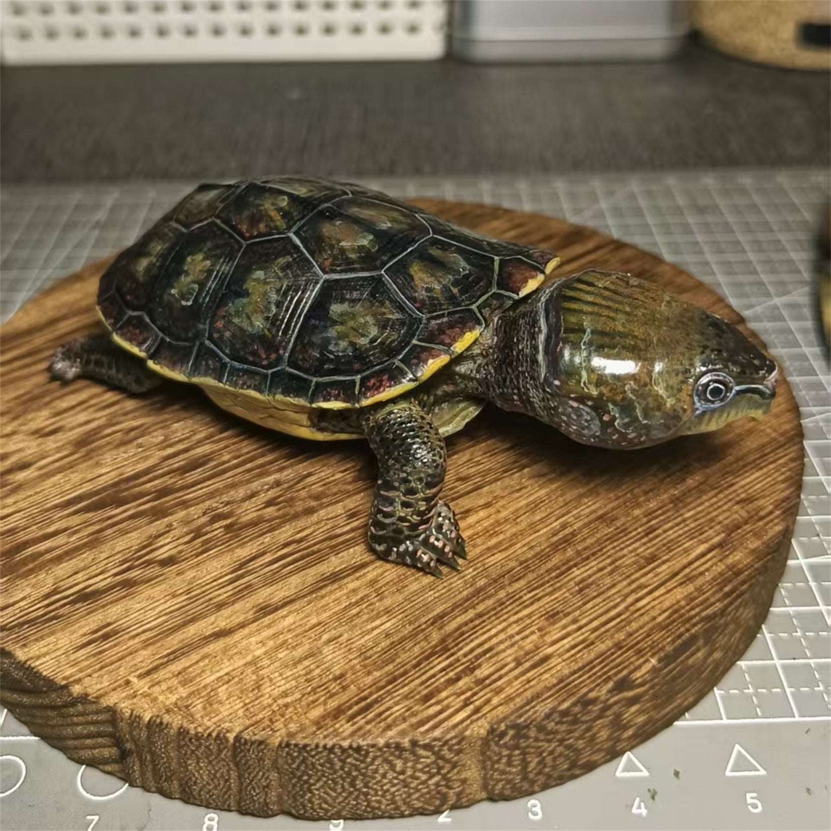 Big-headed Turtle Model