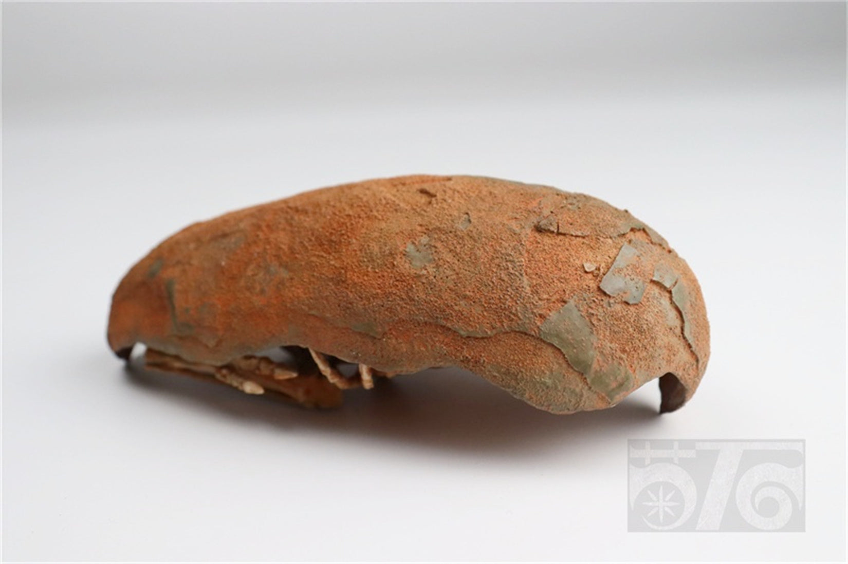 1:1 Scale Velociraptor Dinosaur Egg Model