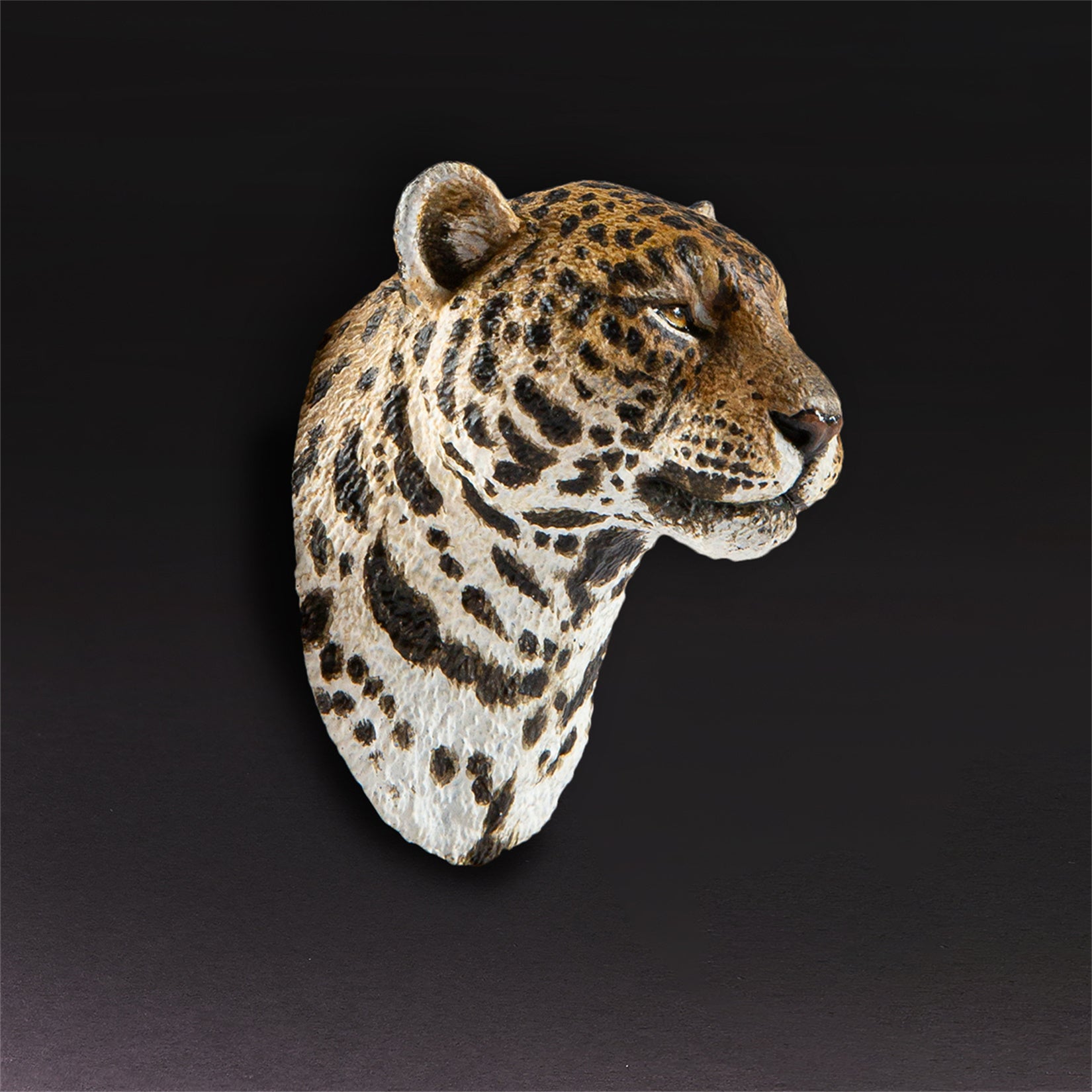 Animal Planet World Encyclopedia Of Animals