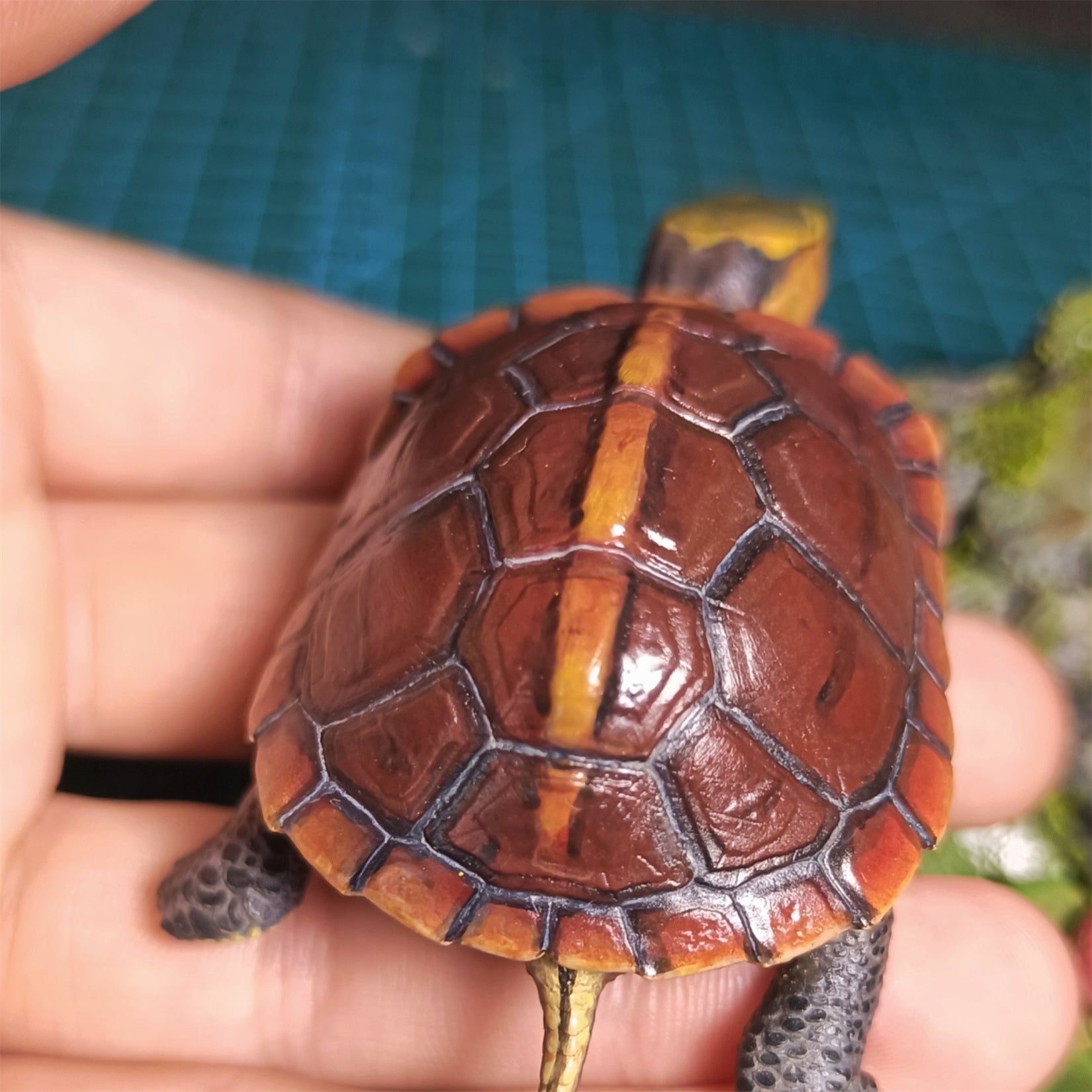 Yellow-margined Box Turtle Baby Model