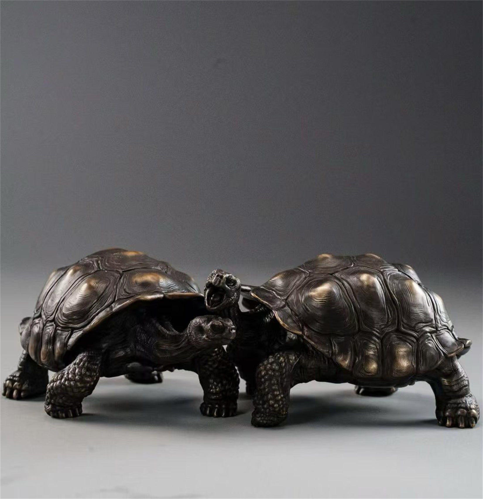 BOWUZHI Studio Plus Chelonoidis Galapagoensis Model