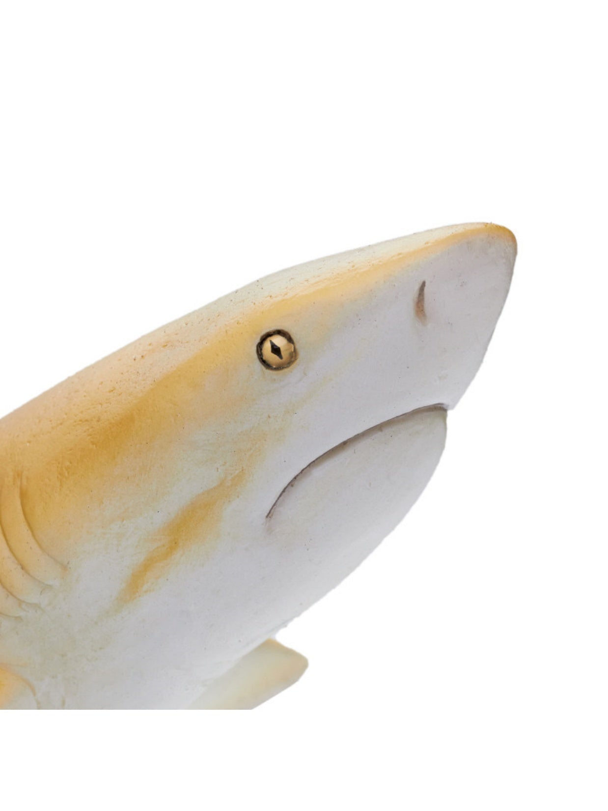 RECUR Lemon Shark Model