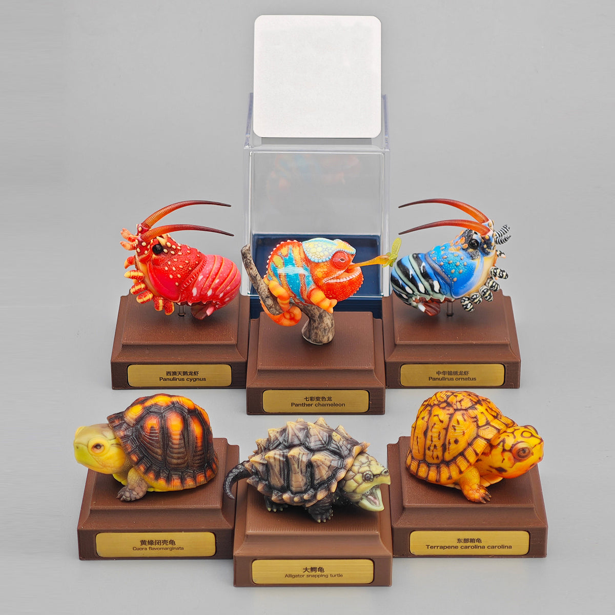 ViVid Studio Western Rock Lobster Figure