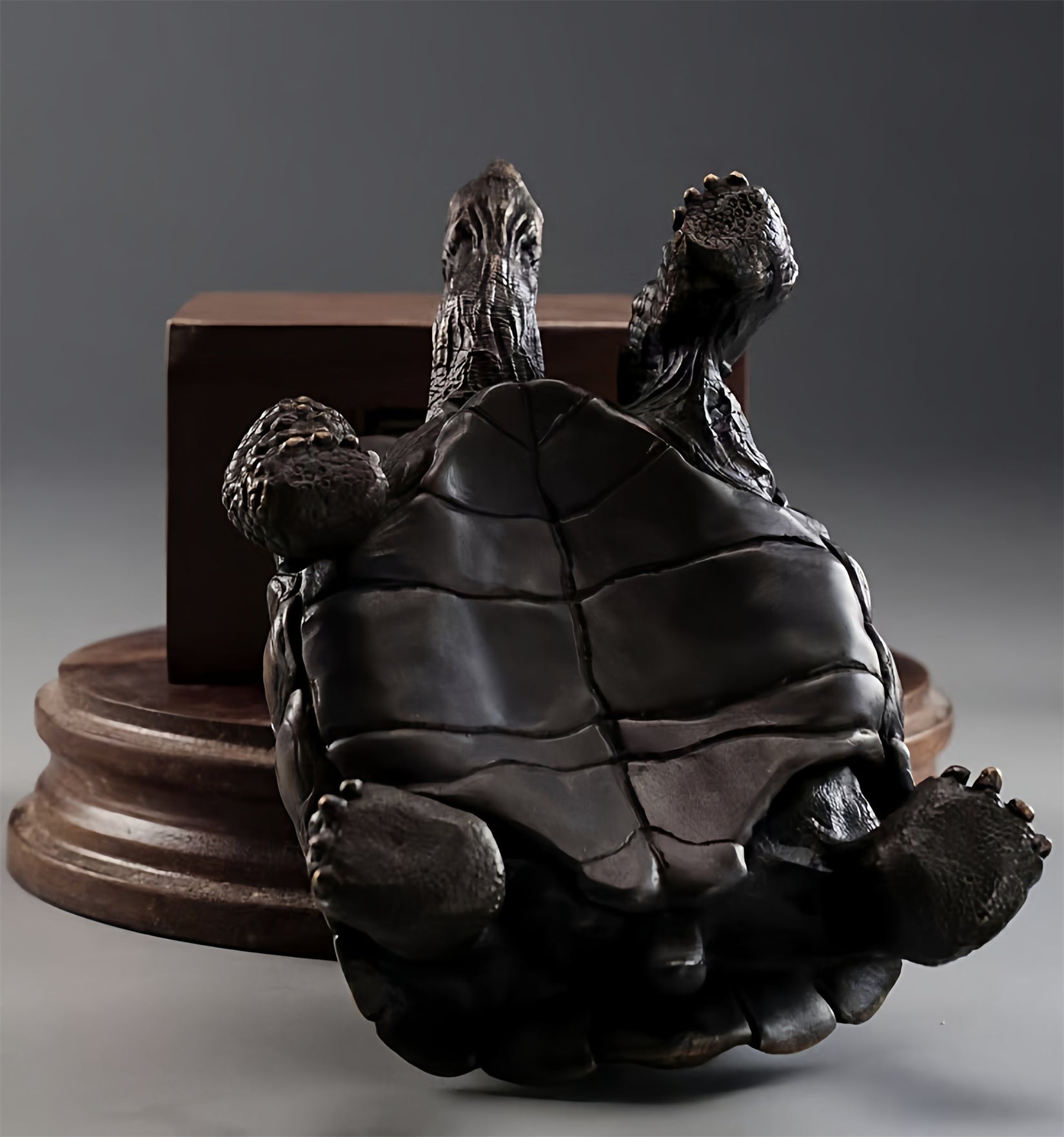 BOWUZHI Studio Plus Chelonoidis Galapagoensis Model