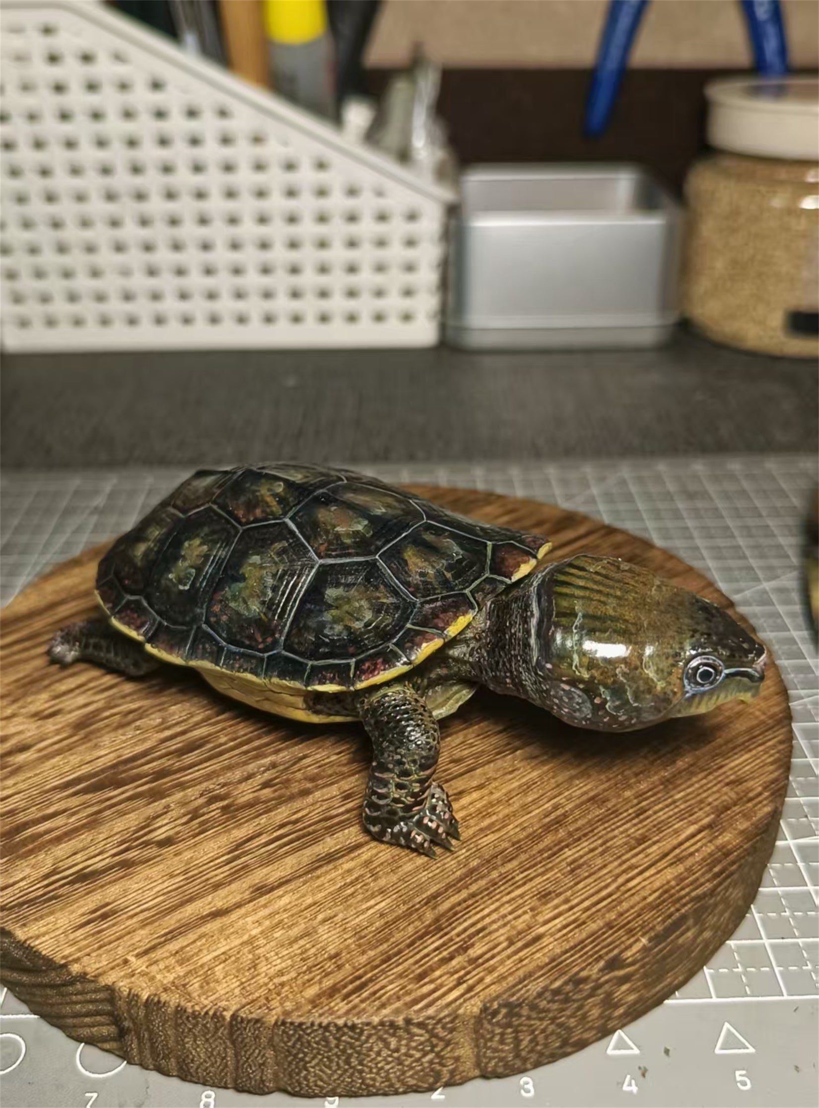 Big-headed Turtle Model