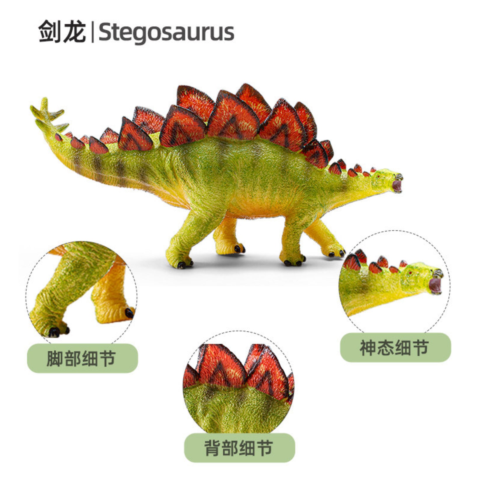 RECUR Stegosaurus Dinosaur Animal Model