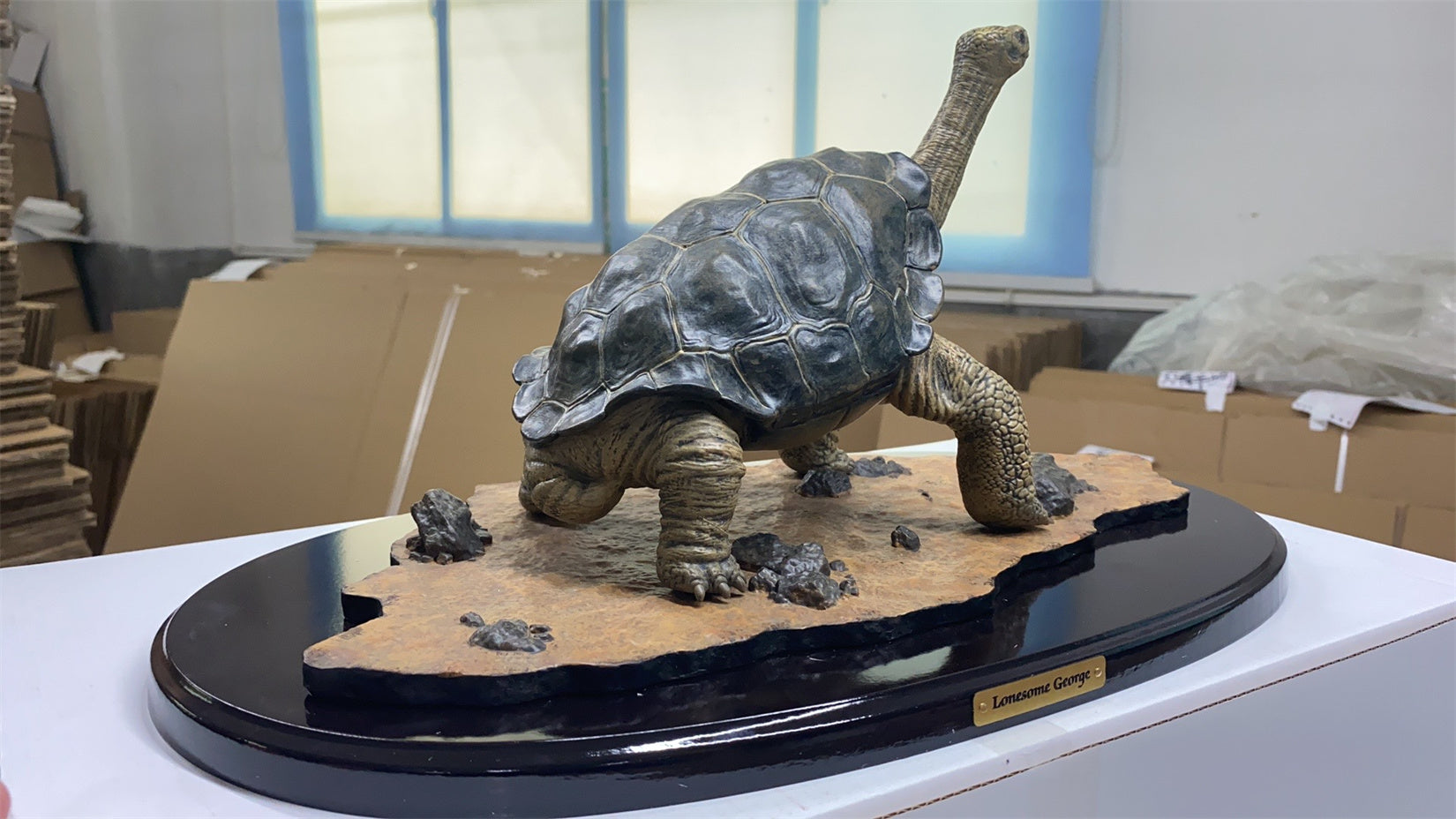 Lonesome George Model