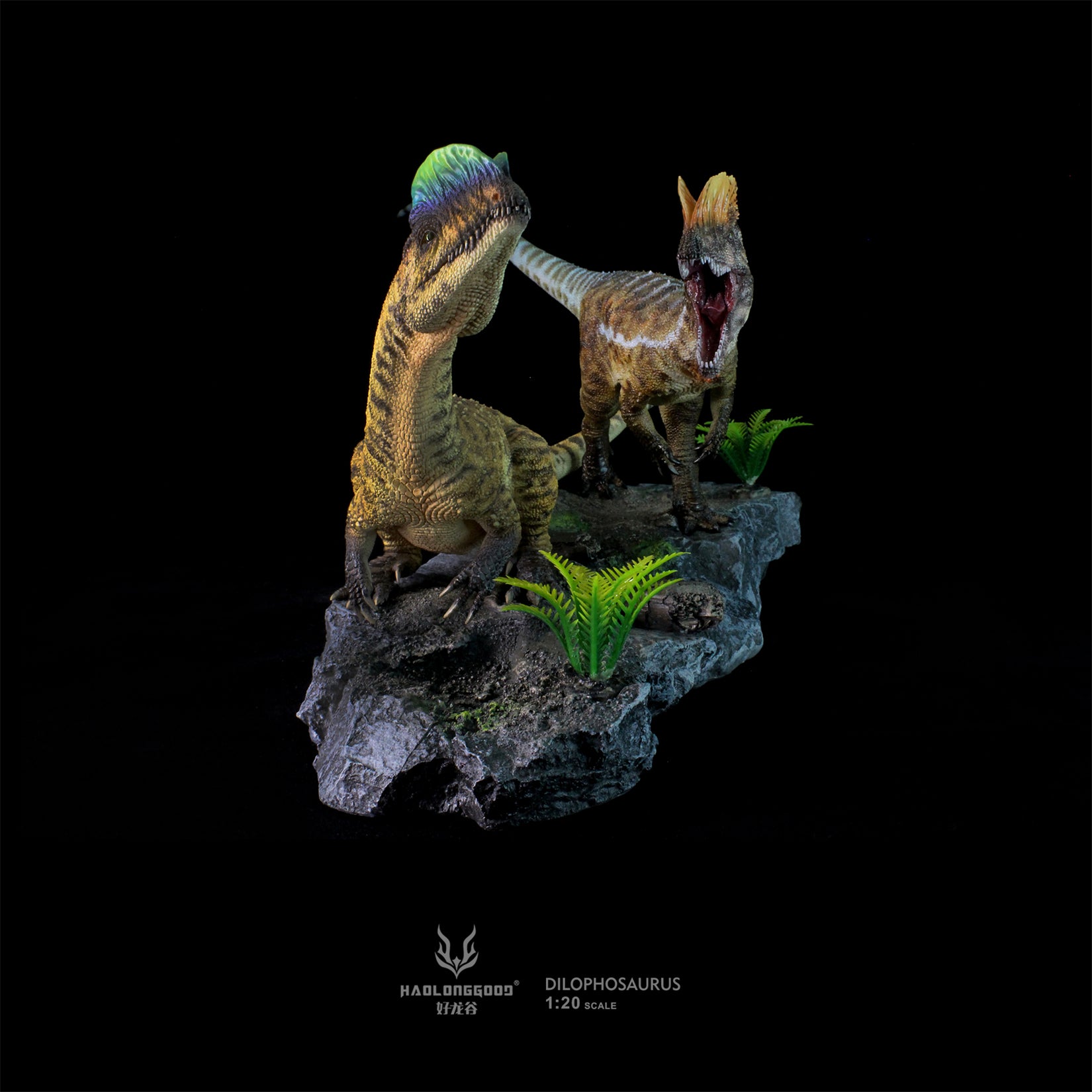 HAOLONGGOOD 1:20 Scale Dilophosaurus Pair Model