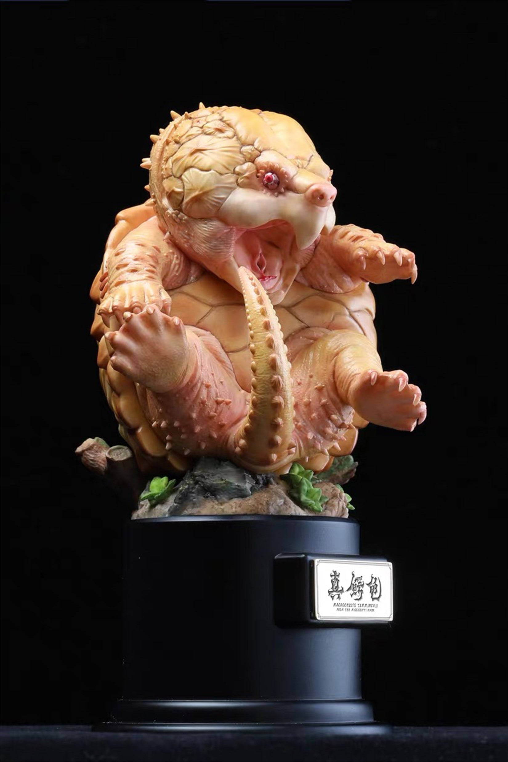 Macrochelys Temminckii Abbildung