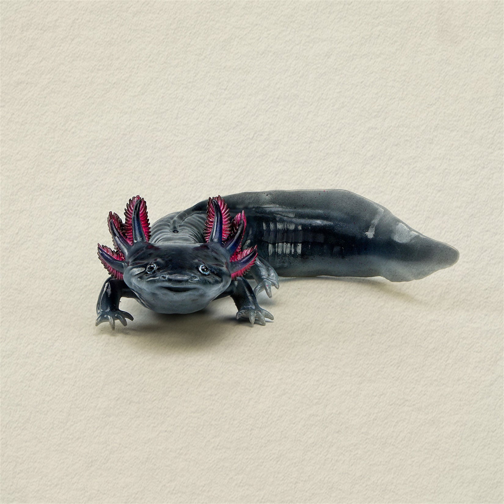 1:2 Scale Ambystoma Mexicanum Model Axolotl Figure