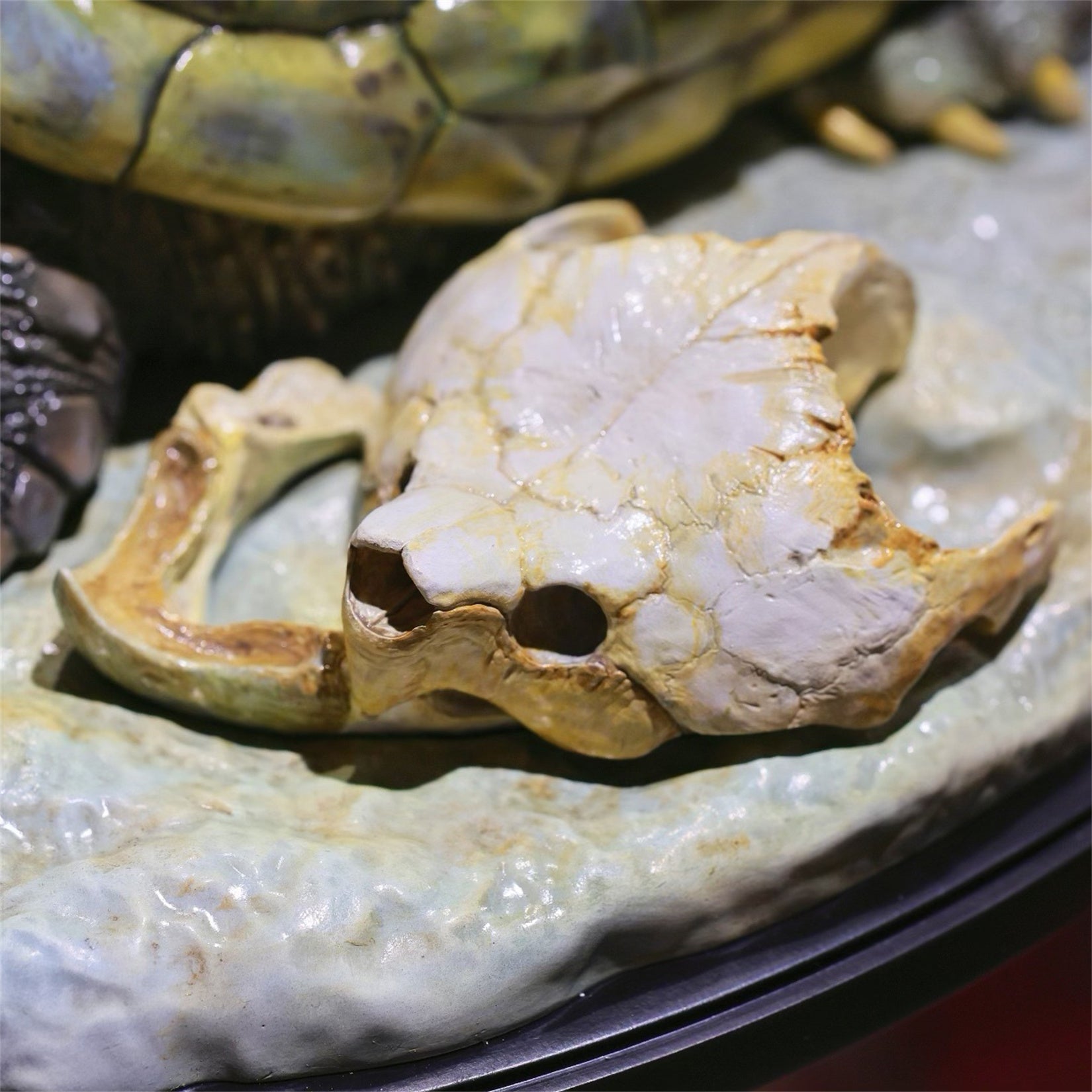 Animal Heavenly Body Plus Alligator Snapping Turtle Figurine