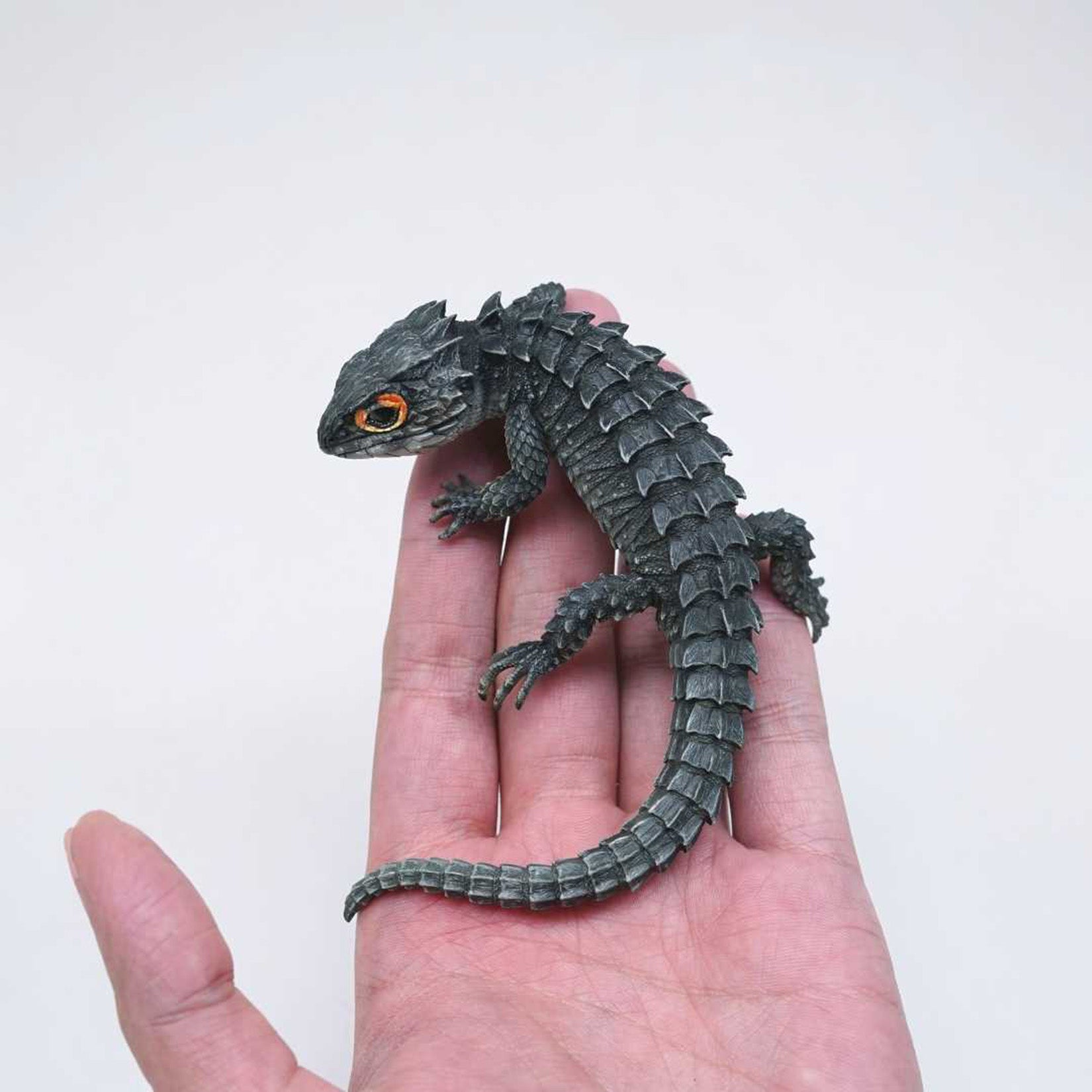 Schildkröten-Serie Tiermodell