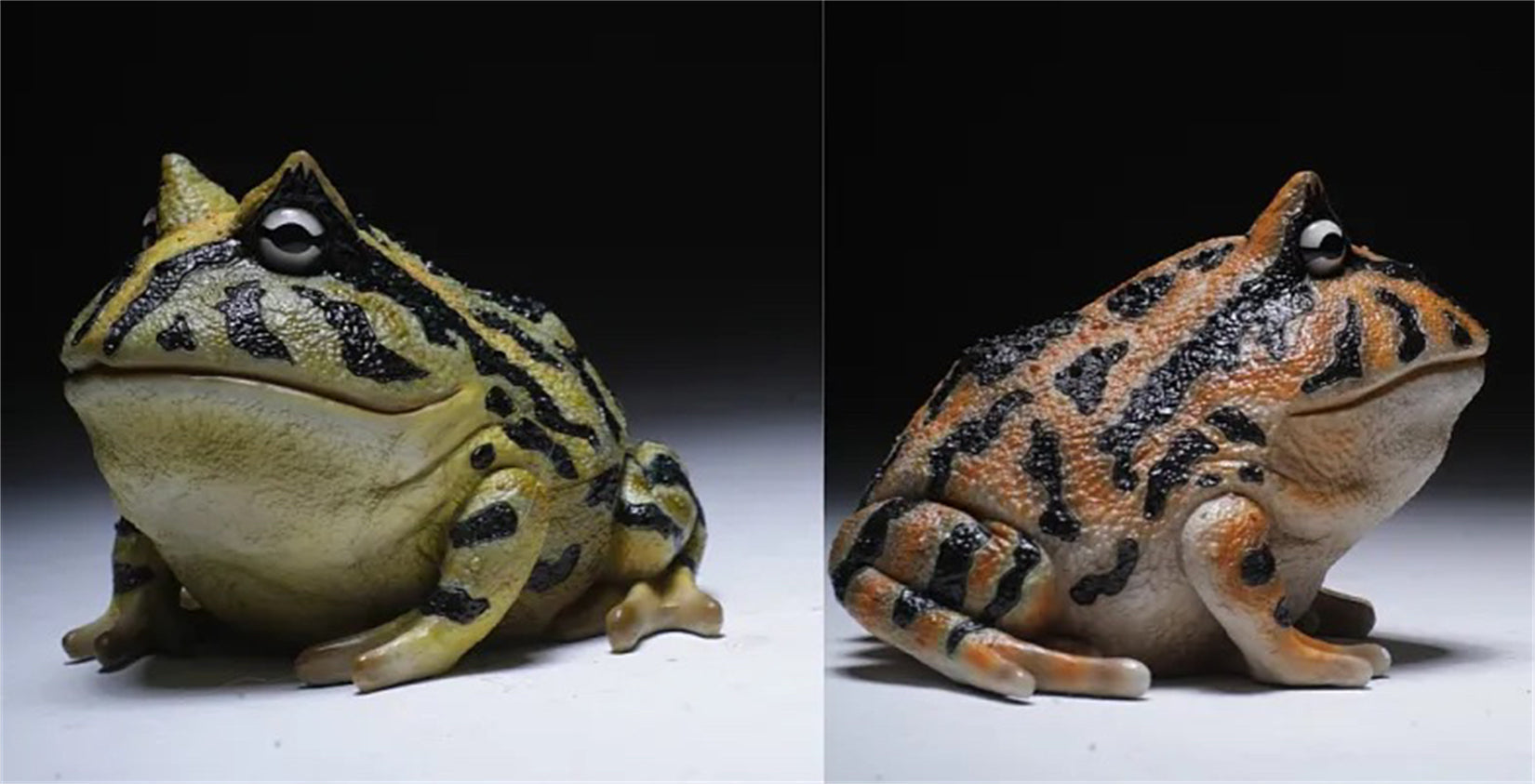 Schildkröten-Serie Tiermodell