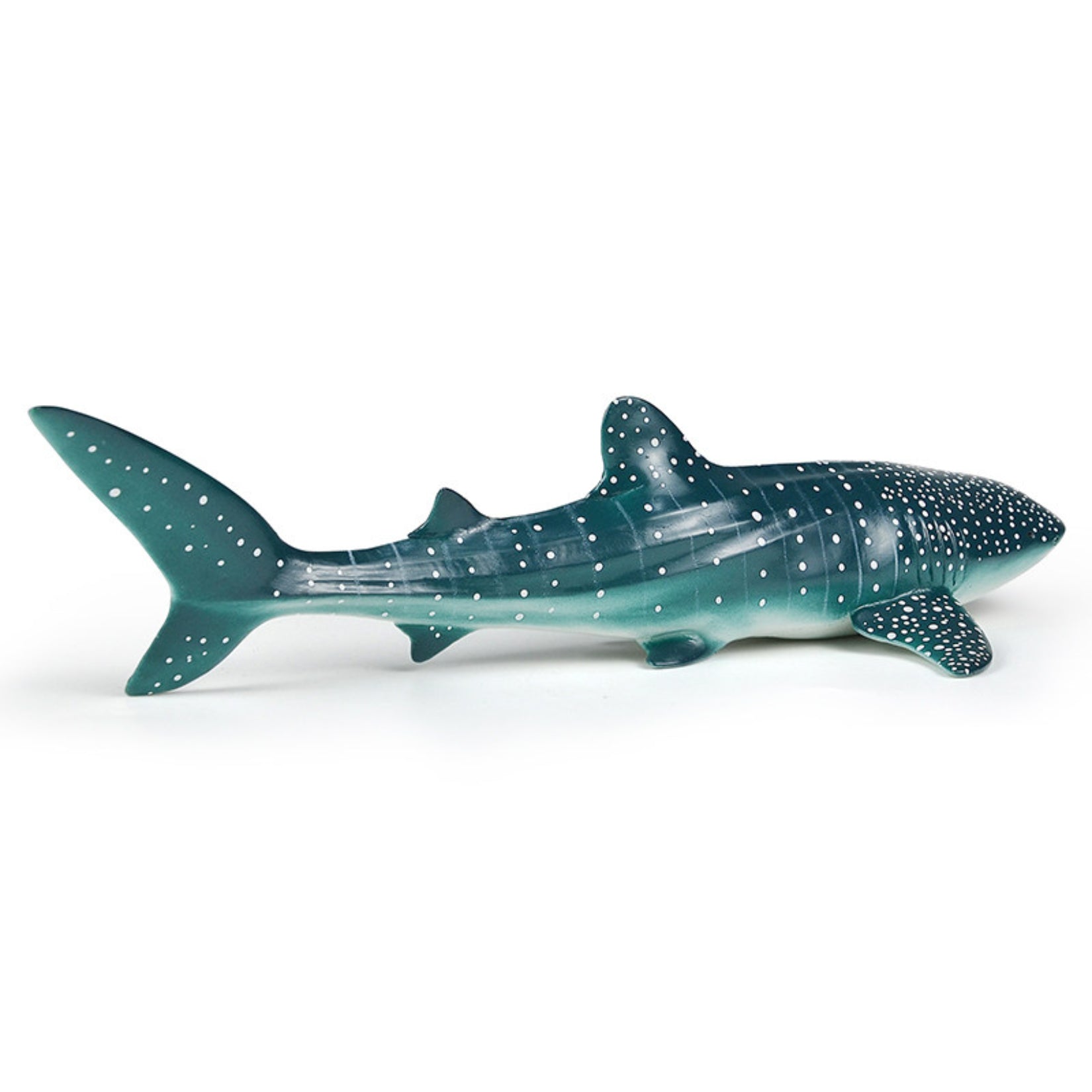 RECUR Whale Shark Model