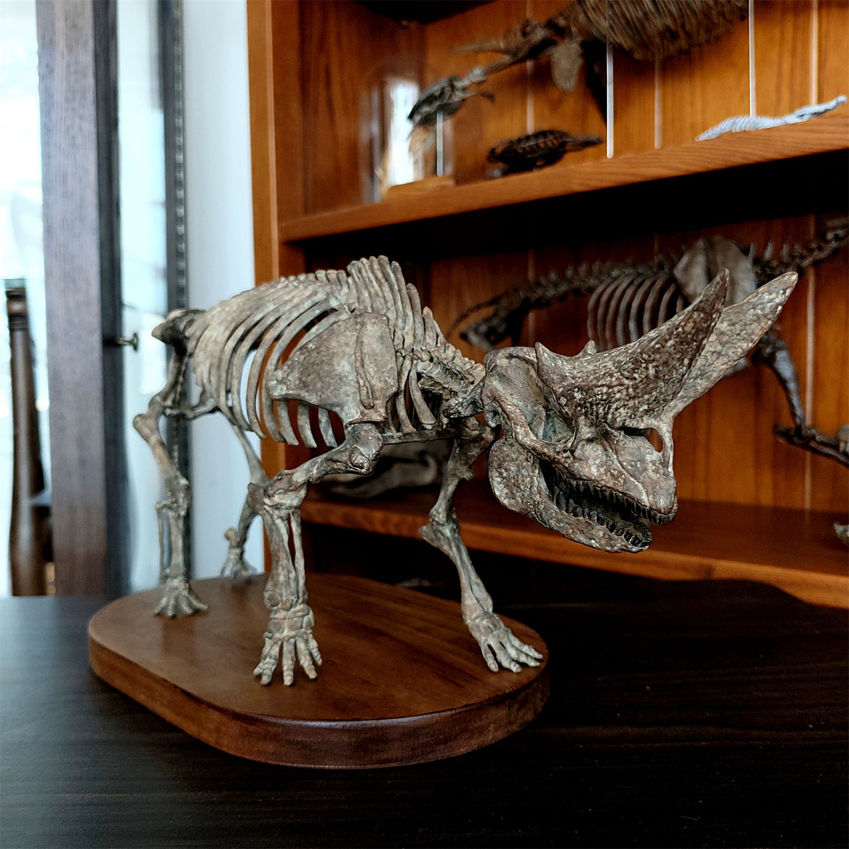 3D Printed 1:18 Scale Arsnoitherium Skeleton Model