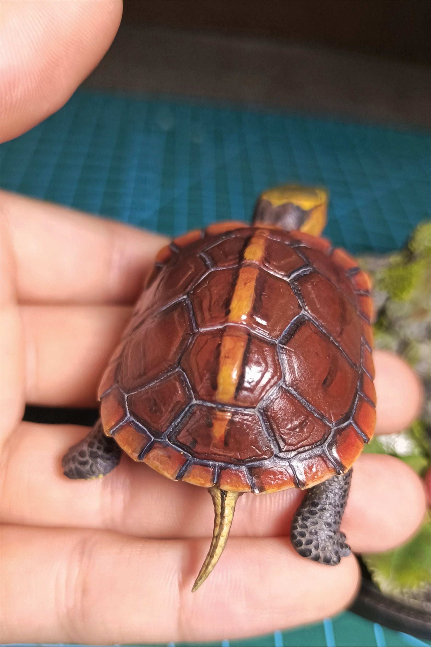 Yellow-margined Box Turtle Baby Model