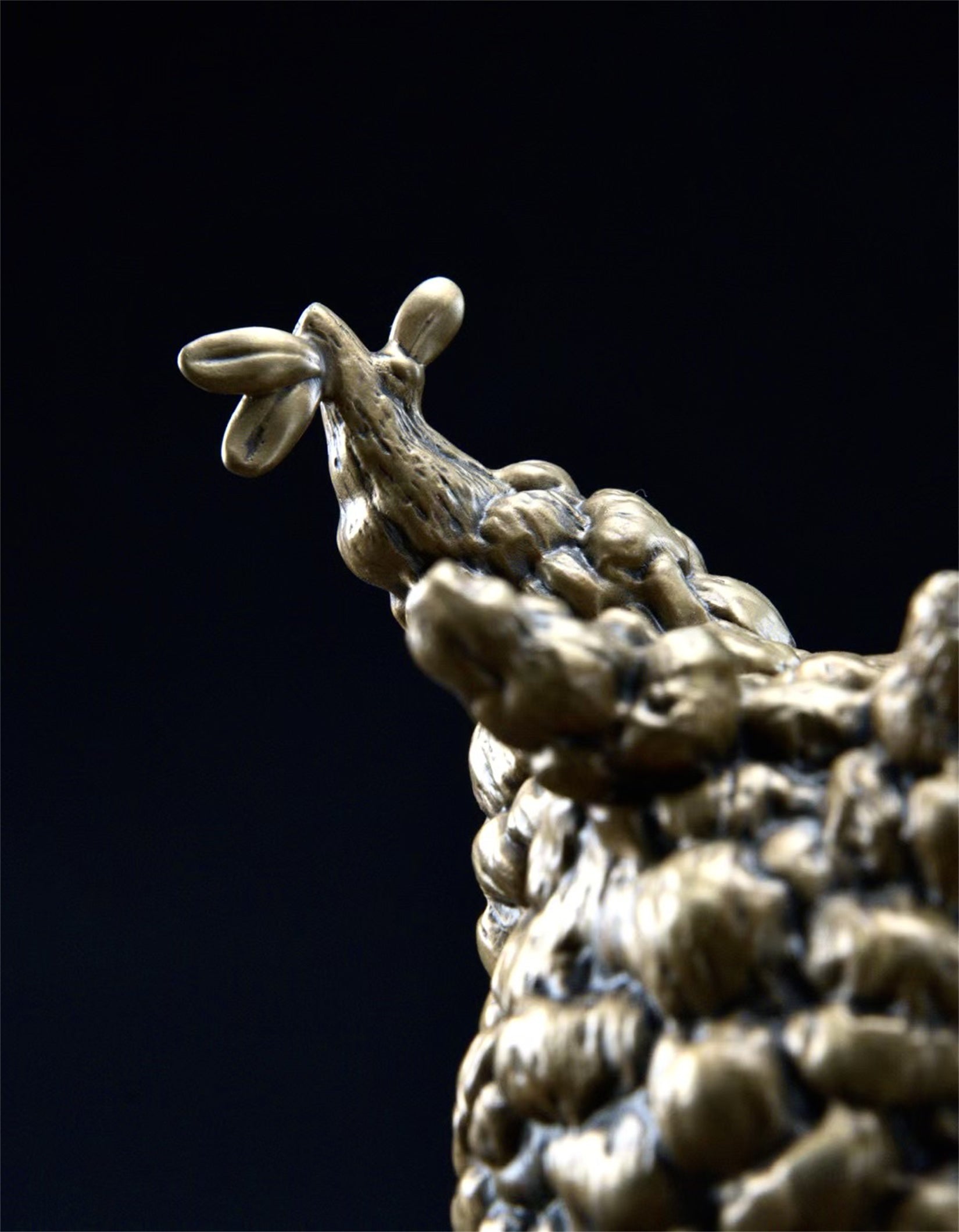 Schildkröten-Serie Tiermodell