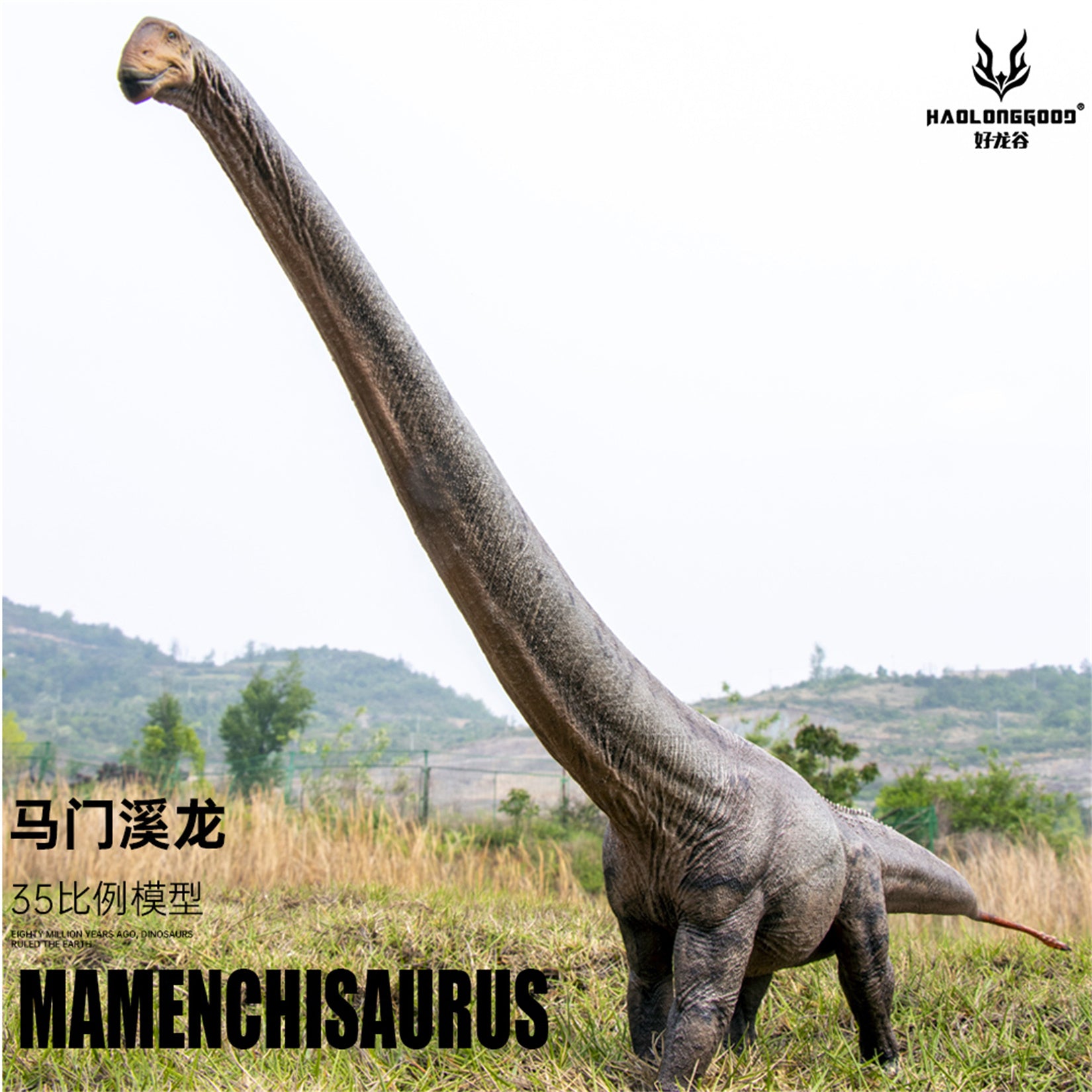 HAOLONGGOOD 1:35 Scale Mamenchisaurus Model