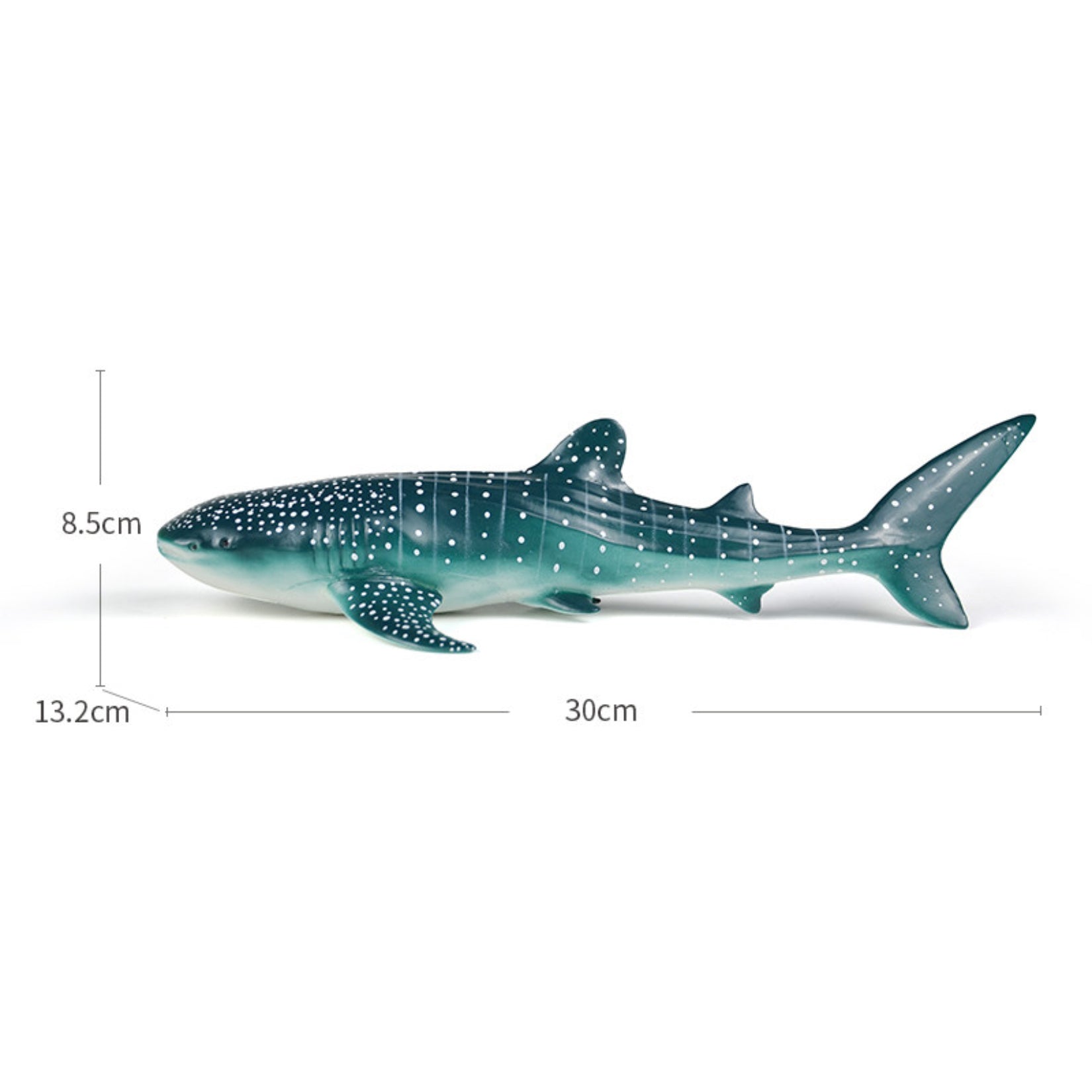 RECUR Whale Shark Model