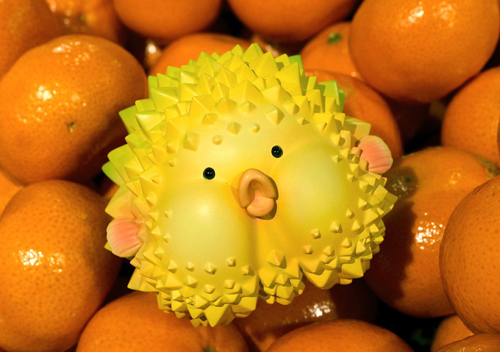 Durian Fish Resin Animal Decor