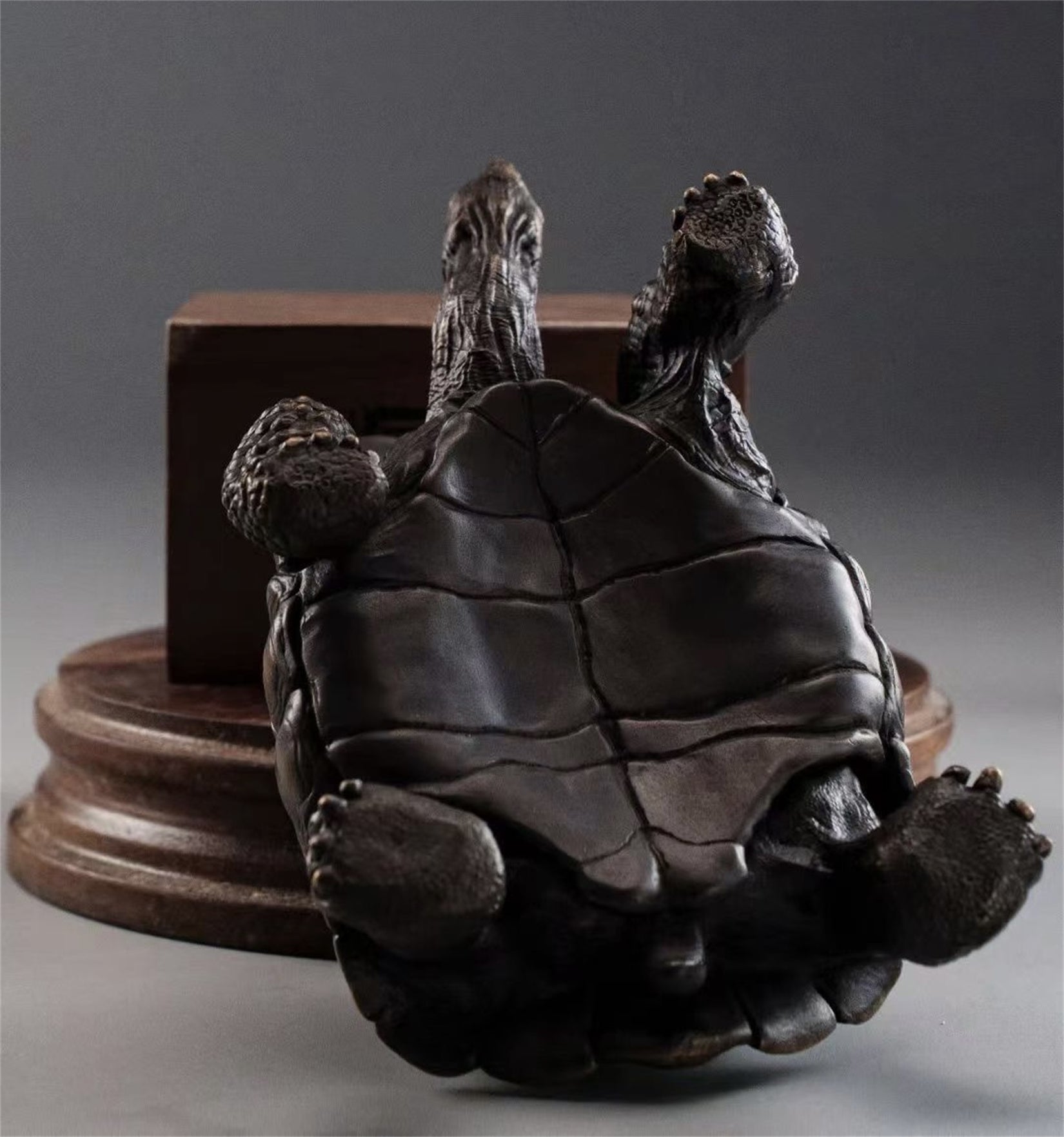 BOWUZHI Studio Plus Chelonoidis Galapagoensis Model