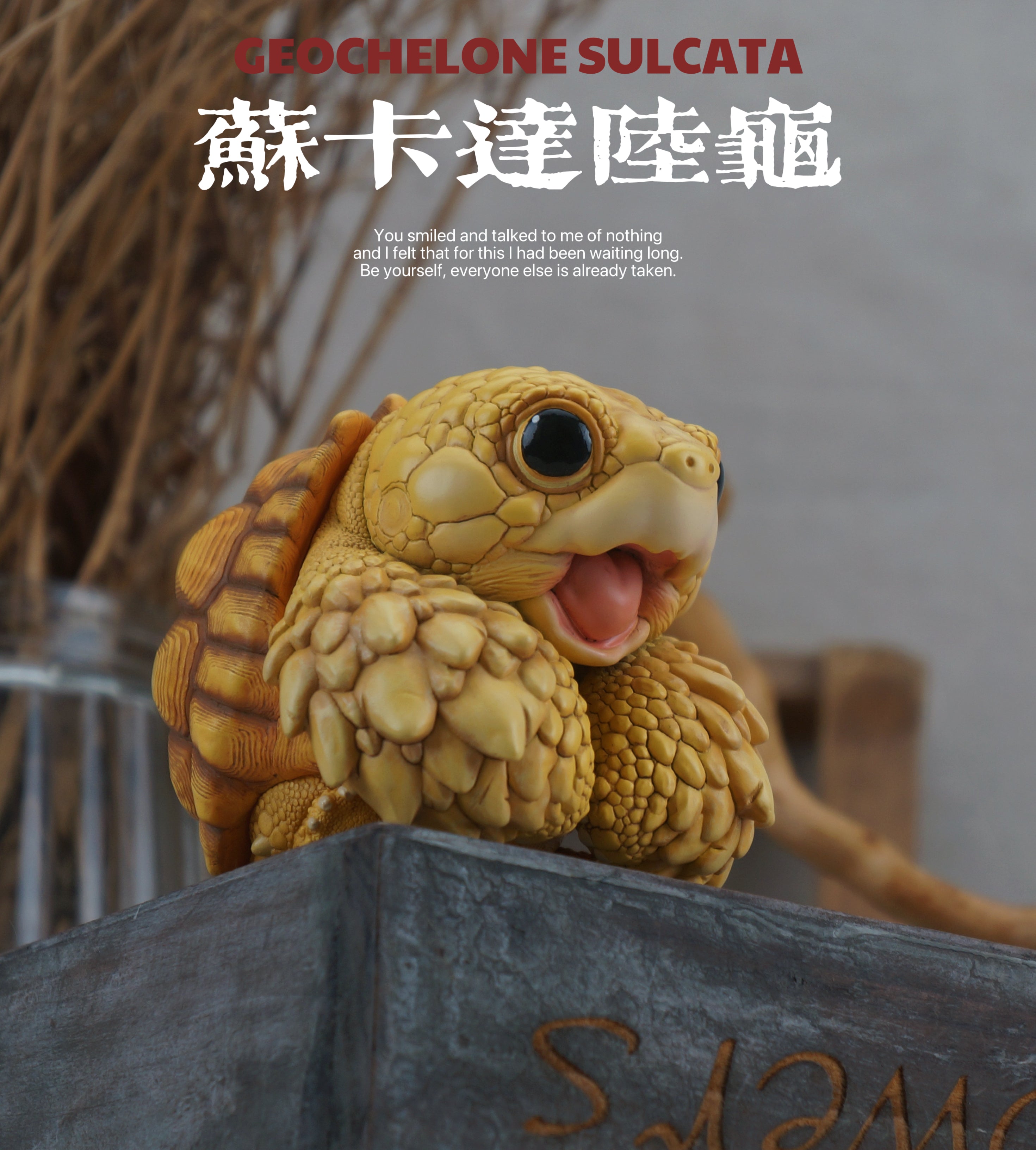 Turtle Model Pet Animal Figure
