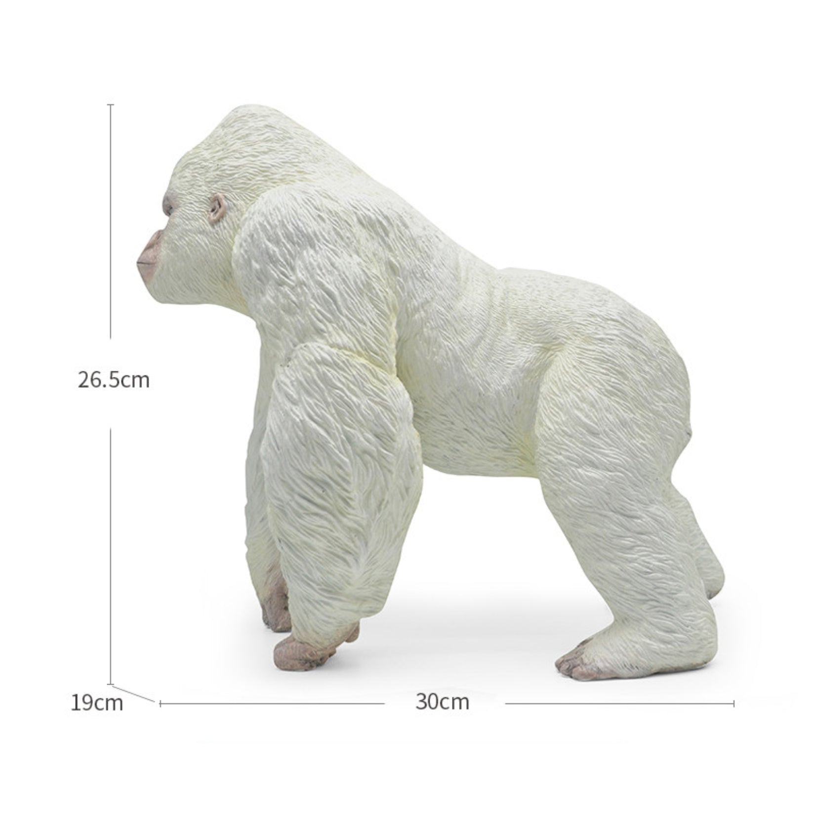 RECUR Gorilla Wild Animal Model