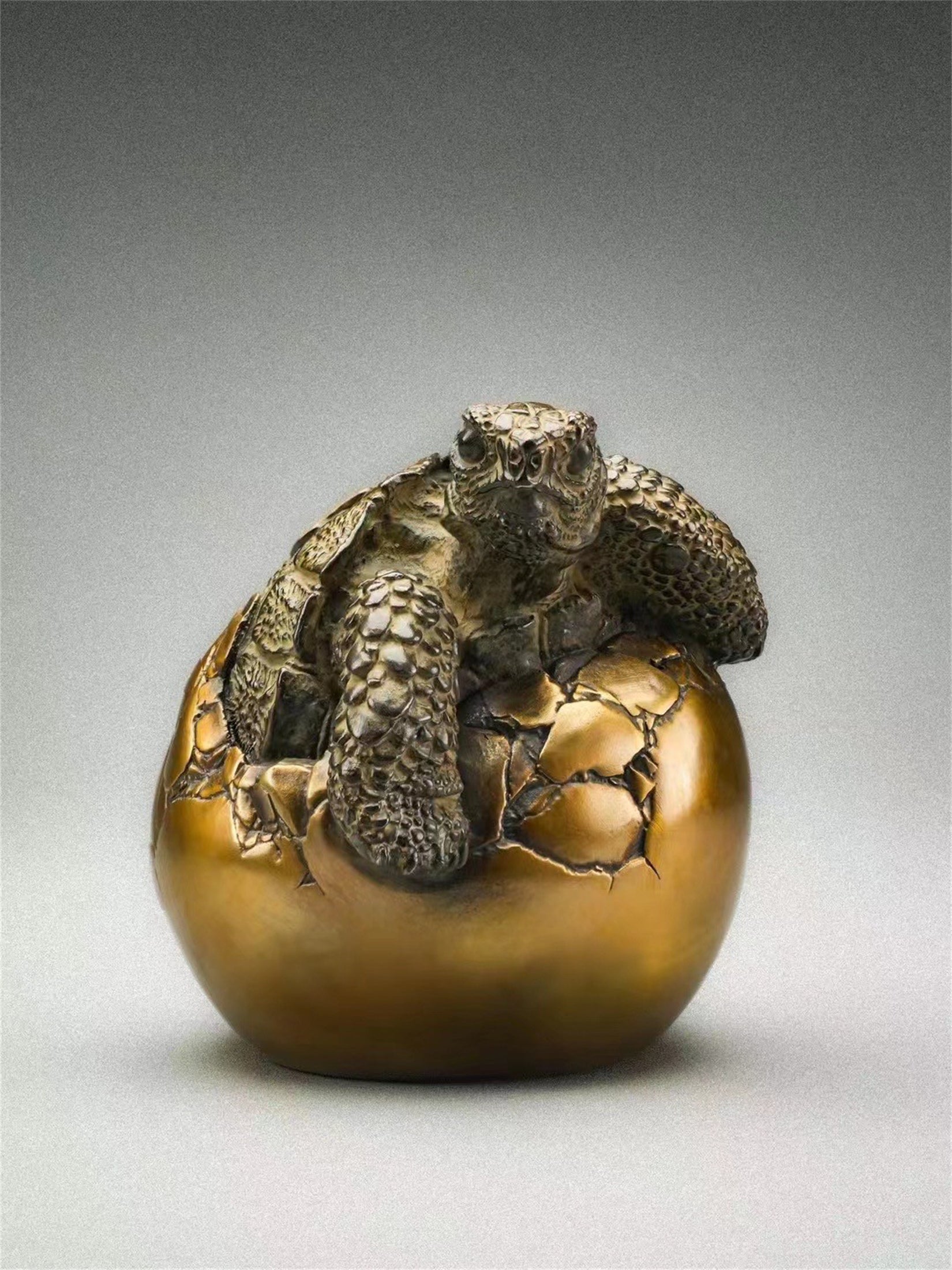 Schildkröten-Serie Tiermodell