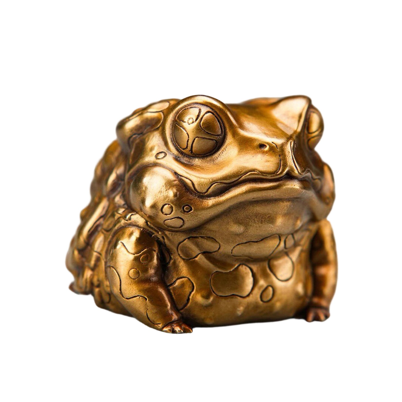 BOWUZHI Studio Toad Model Animal Figure Collector