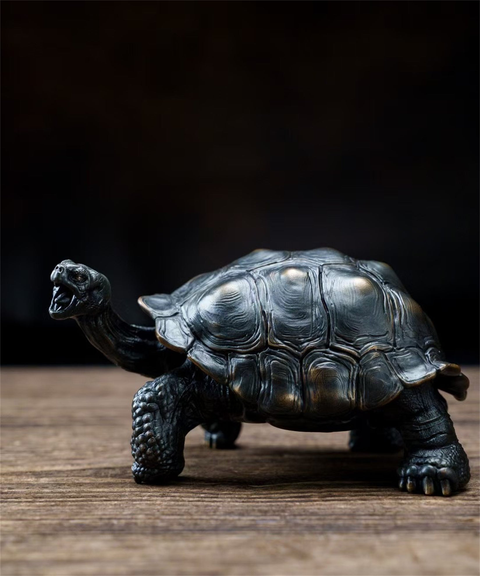 BOWUZHI Studio Chelonoidis Niger Model