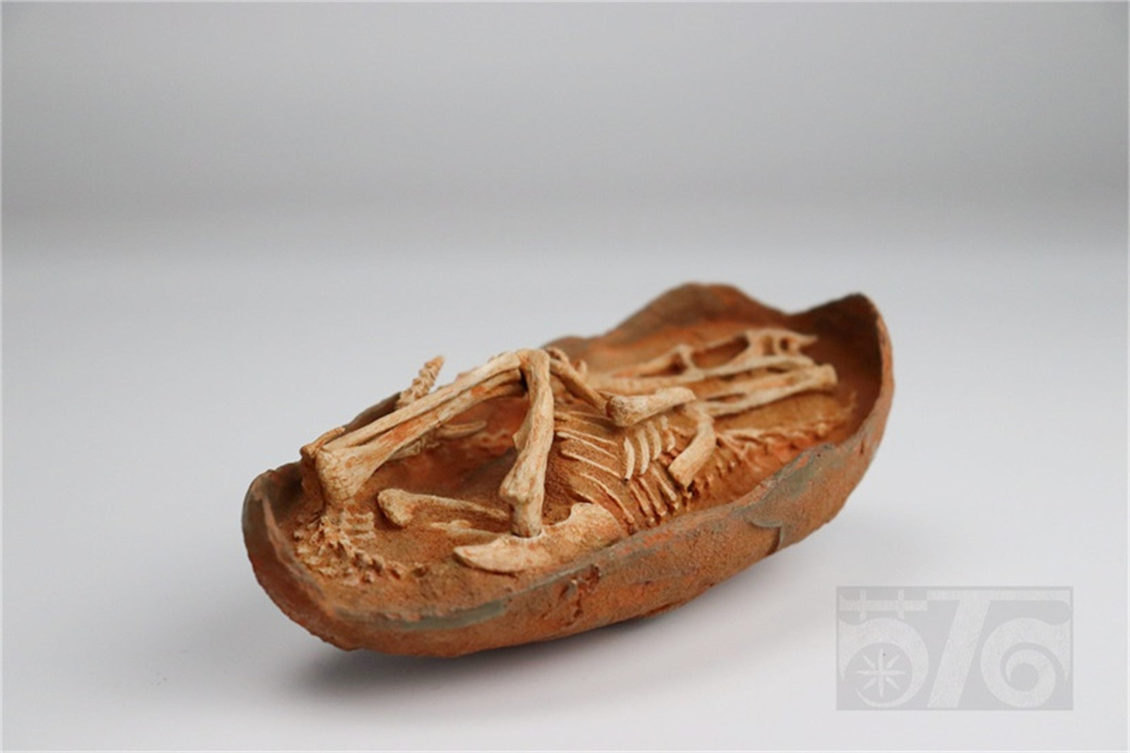 1:1 Scale Velociraptor Dinosaur Egg Model