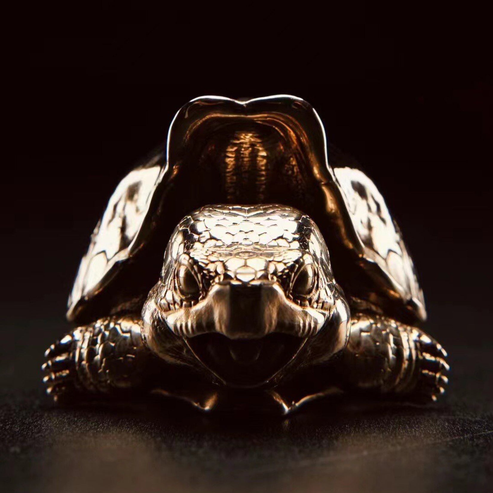 BOWUZHI Studio Galapagos Elephant Turtle Model
