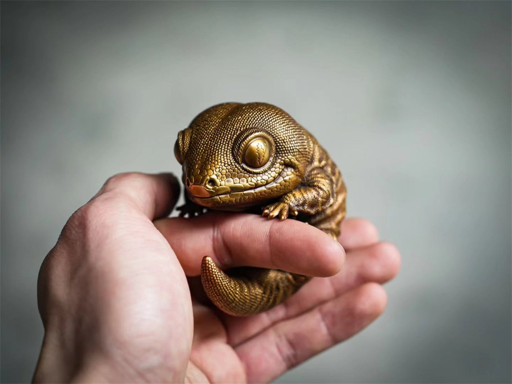 Rhacodactylus Leachianus Figure