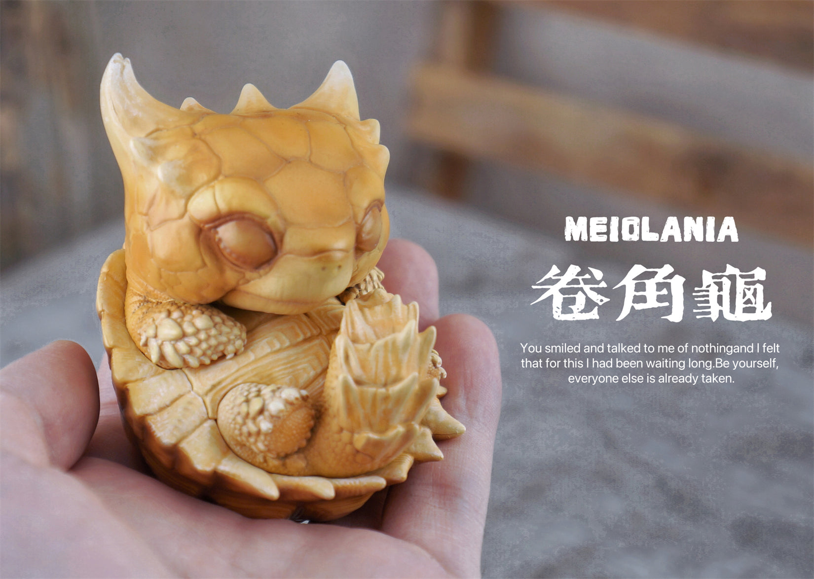 BOWUZHI Studio Sinemys gamera Meiolania Model