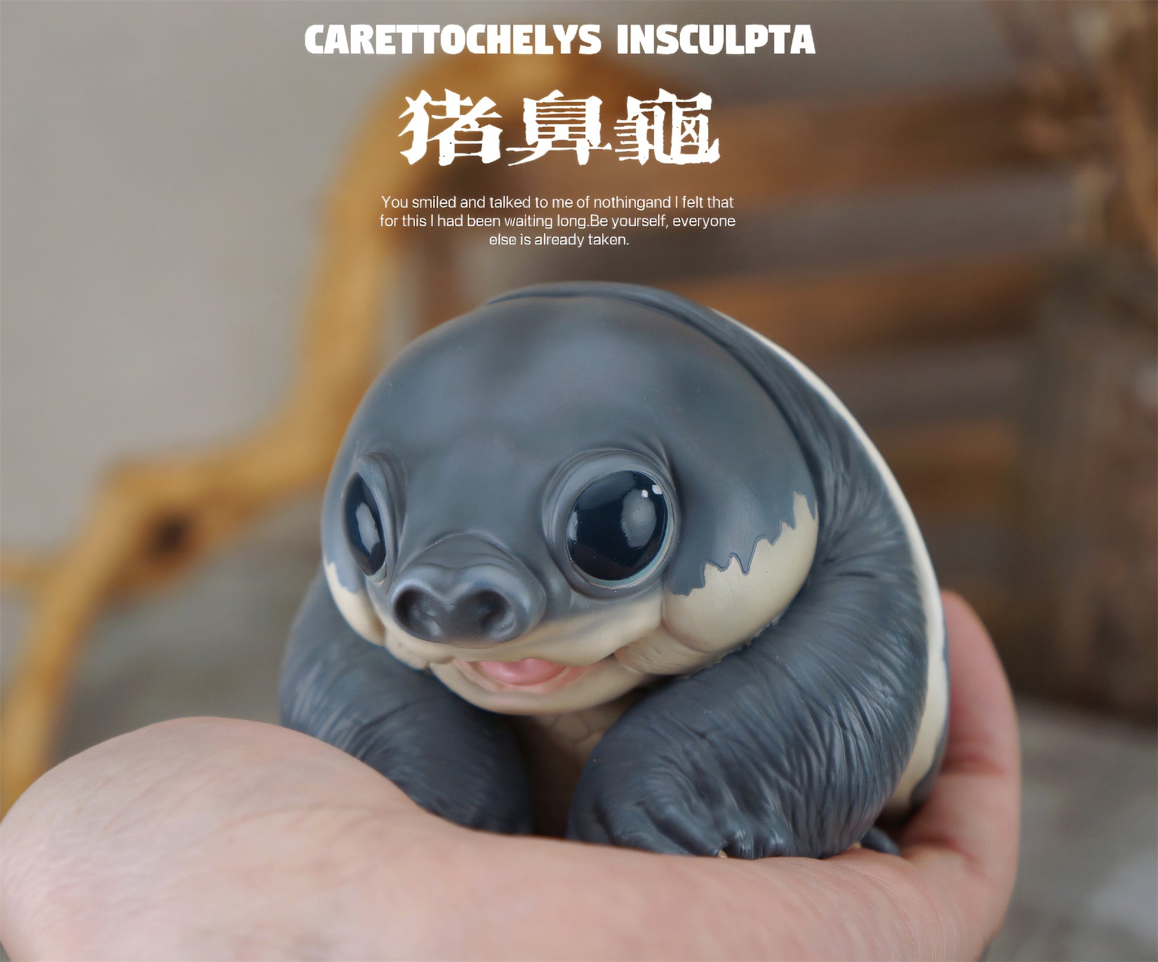 Schildkröten-Serie Tiermodell