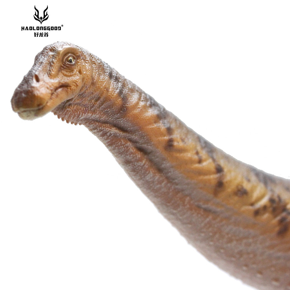 HAOLONGGOOD 1:35 Scale Apatosaurus Model