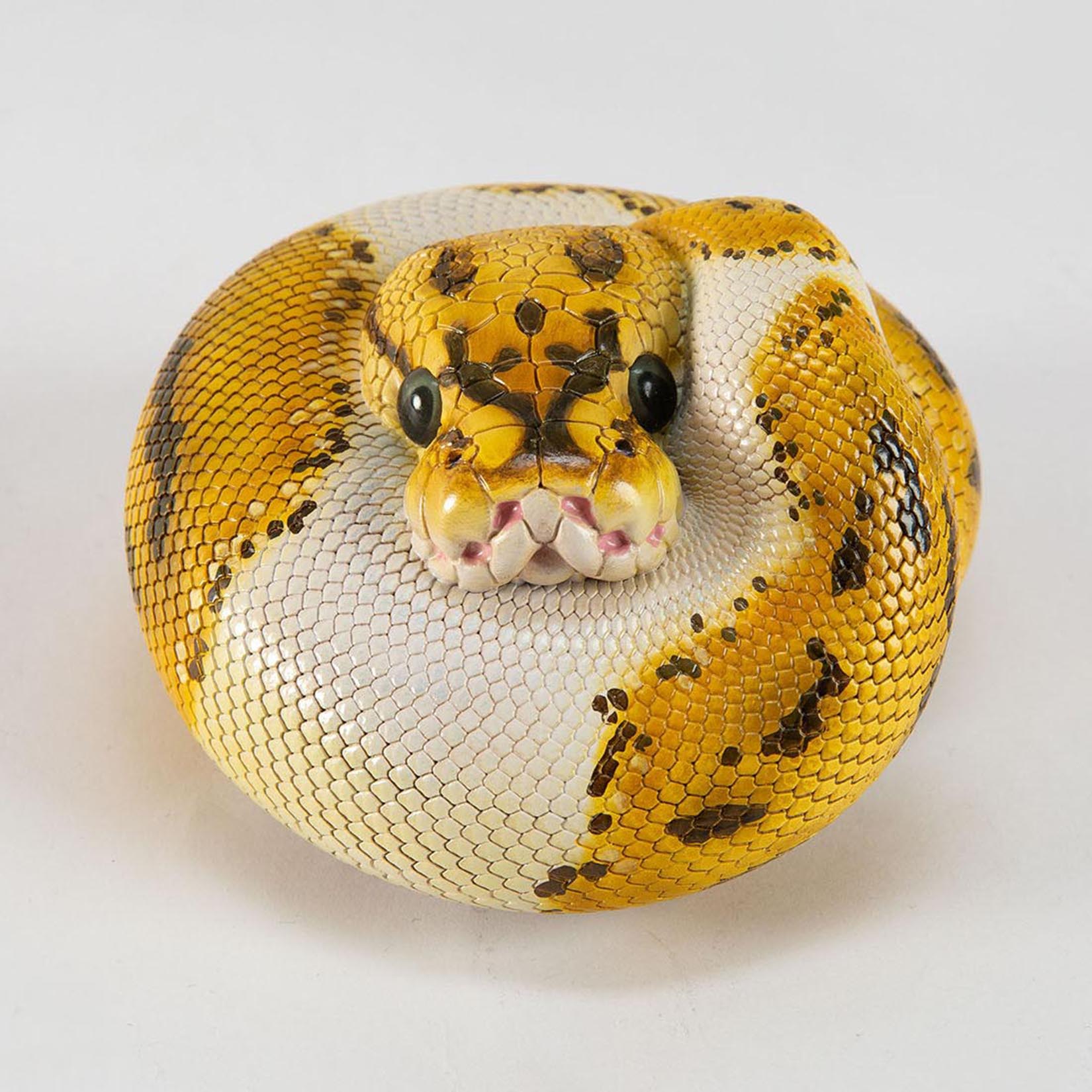 Animal Heavenly Body Plus Ball Python Model