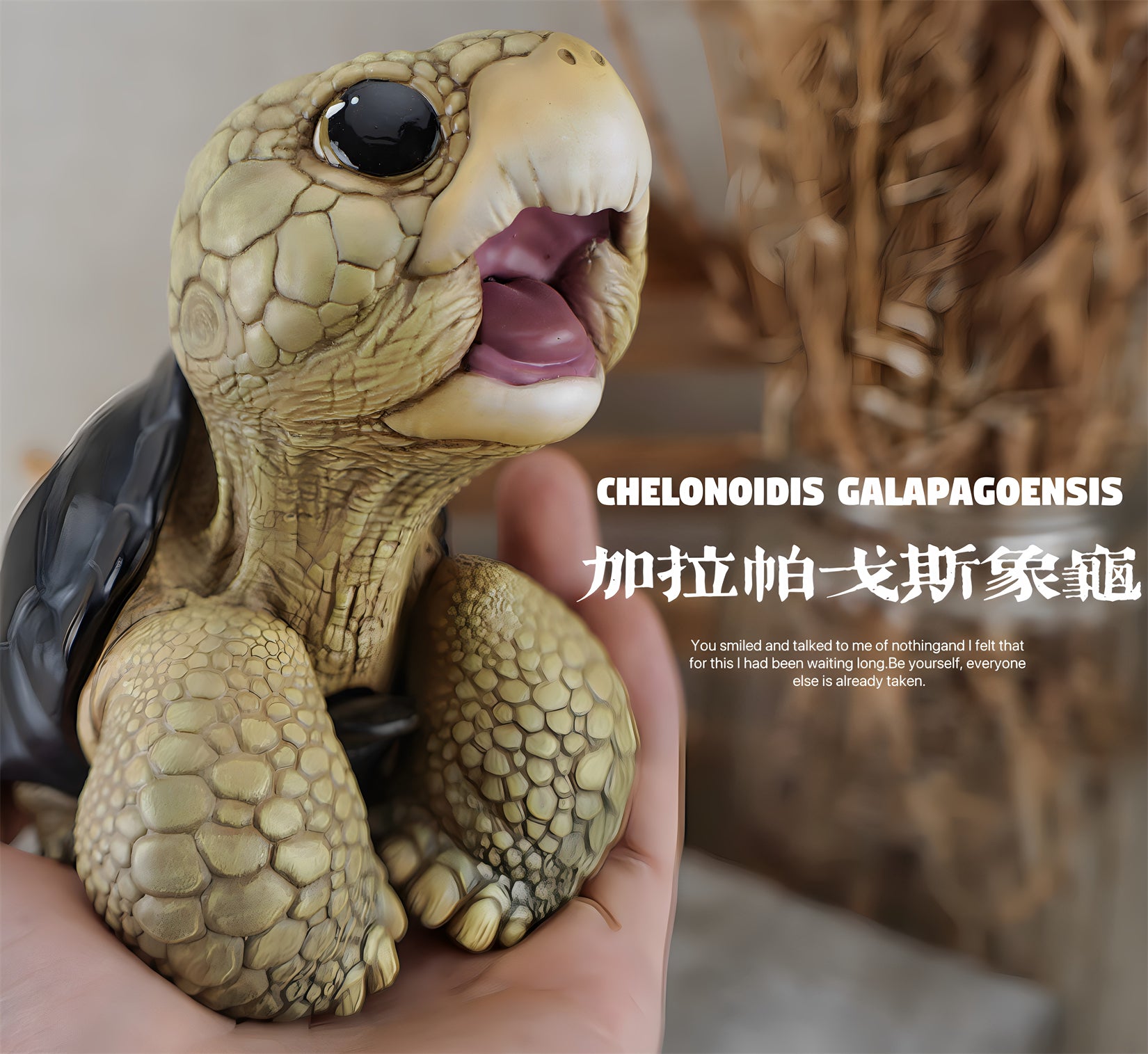 BOWUZHI Studio Geochelone Carbonaria & Chelonoidis Galapagoensis Model